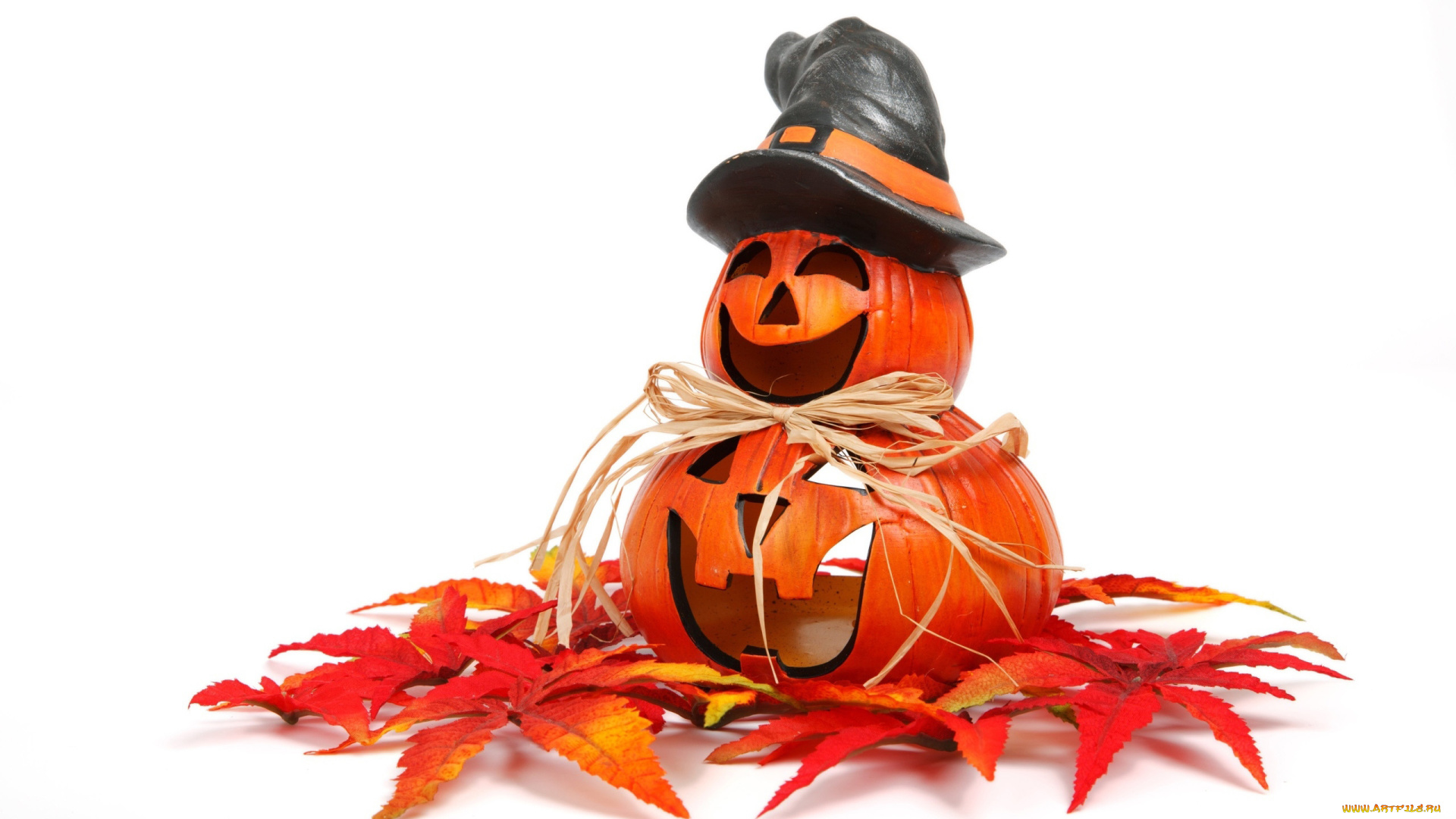 праздничные, хэллоуин, листья, шляпа