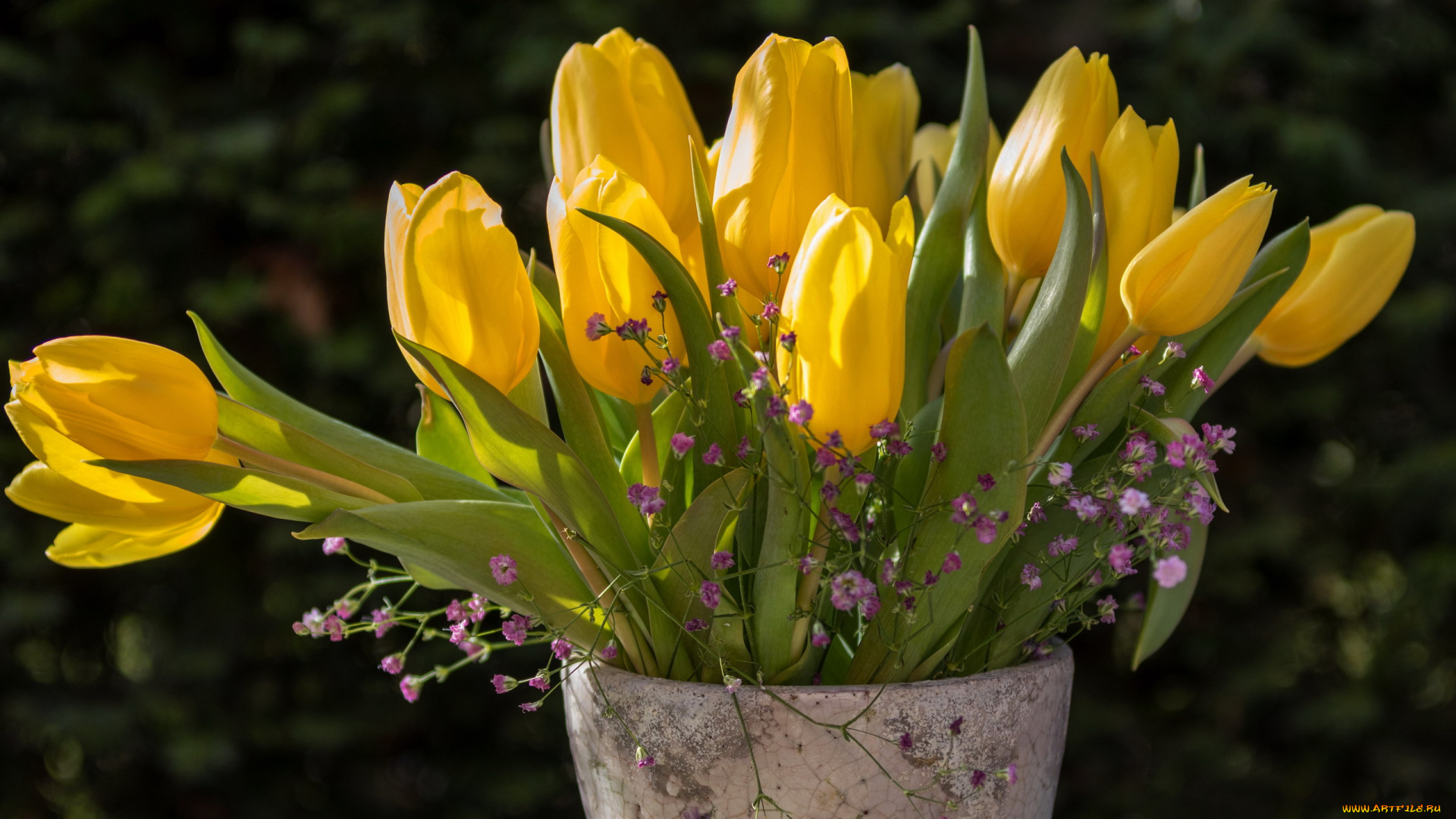 цветы, букеты, , композиции, ваза, букет, желтые, тюльпаны, бутоны