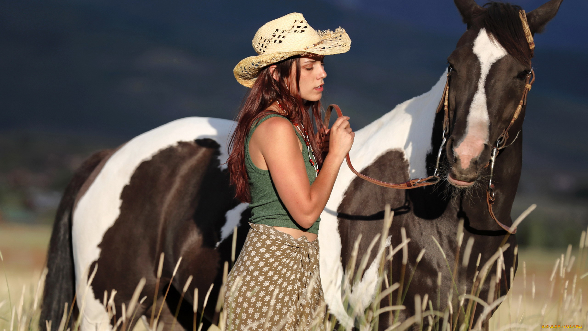 девушки, elena, generi, шляпа, бусы, лошадь