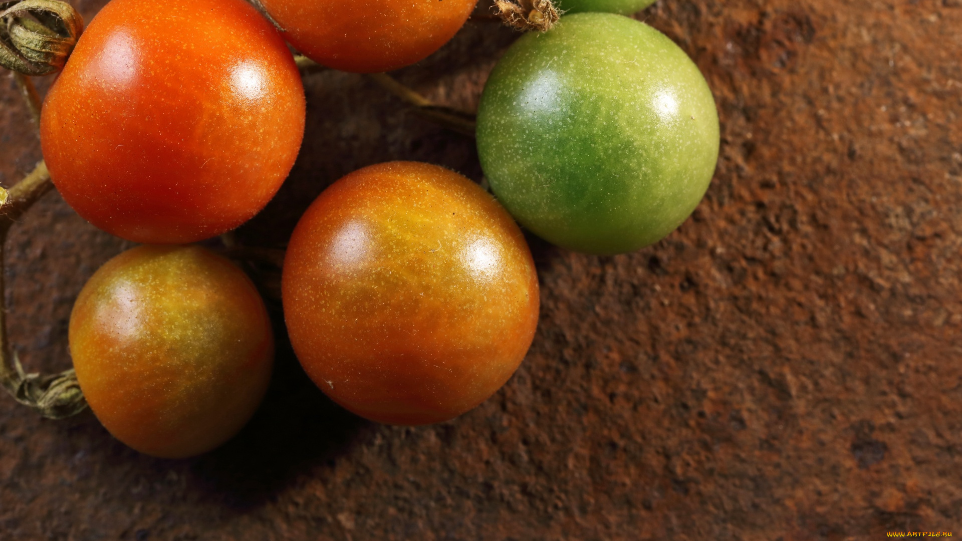 еда, помидоры, ветка, томаты