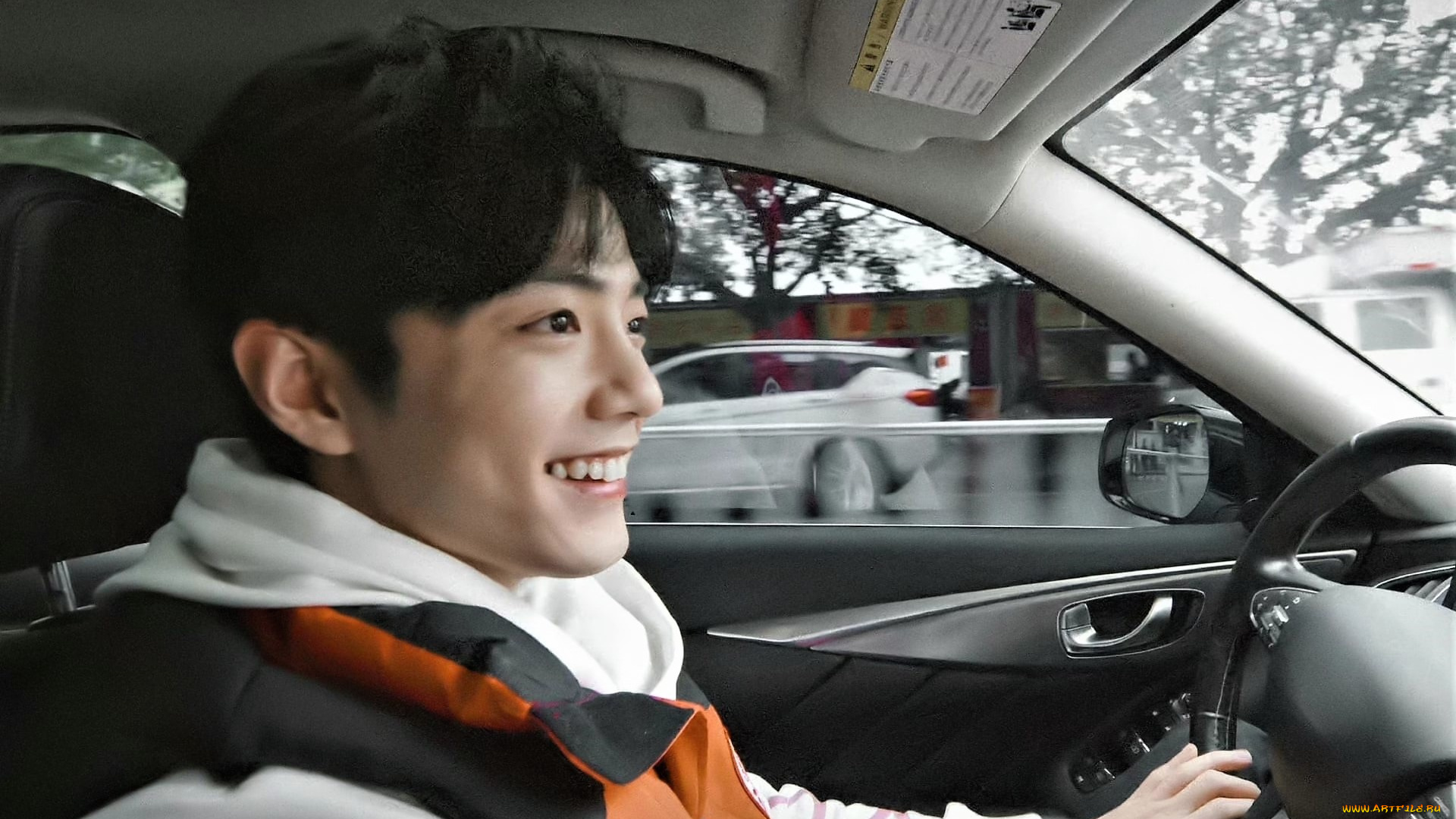 мужчины, xiao, zhan, лицо, машина