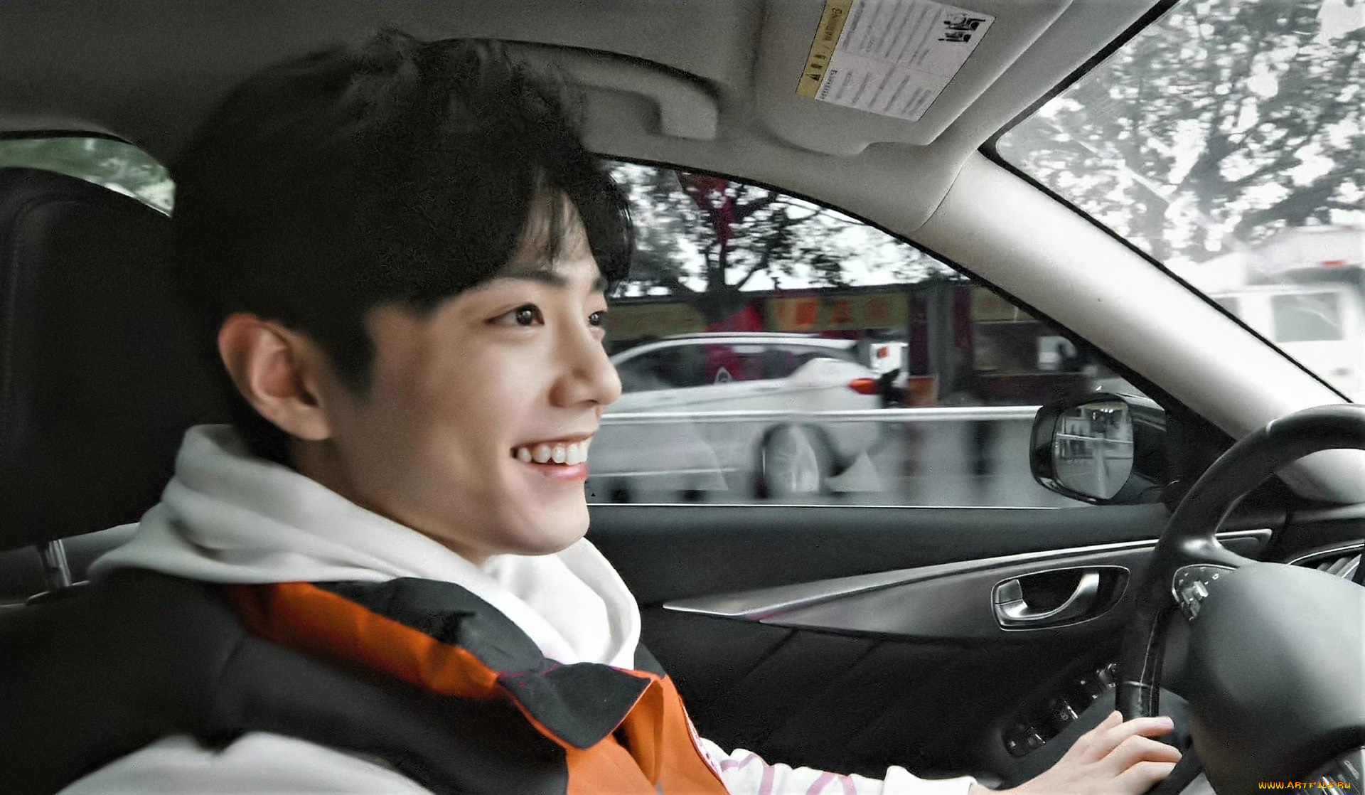 мужчины, xiao, zhan, лицо, машина