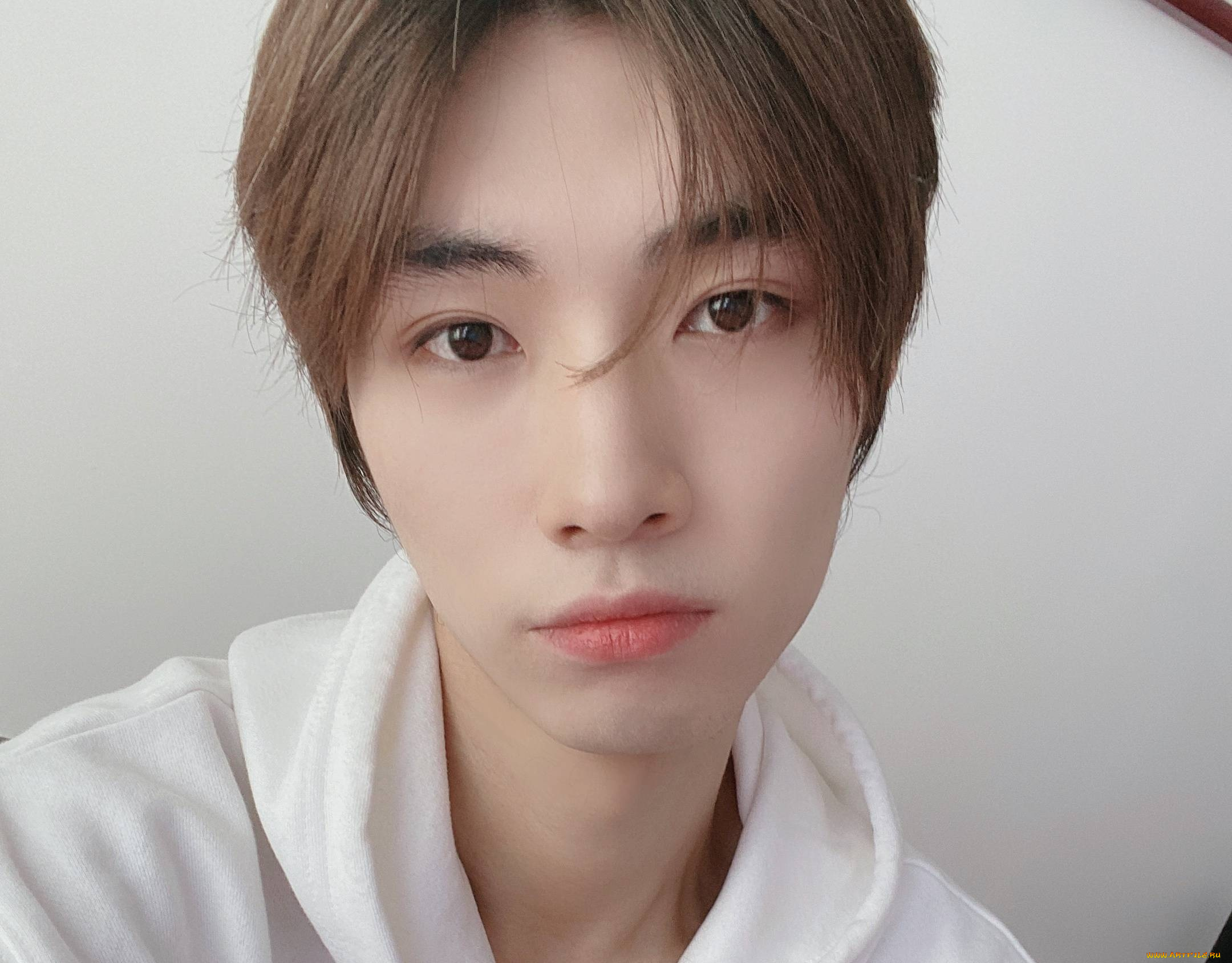 мужчины, song, ji, yang, сун, цзиян, китай, актёр, певец