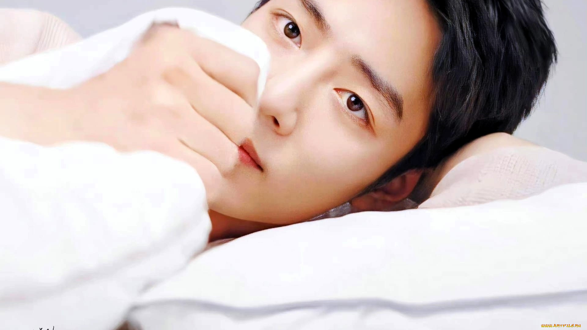 мужчины, xiao, zhan, актер, лицо, постель