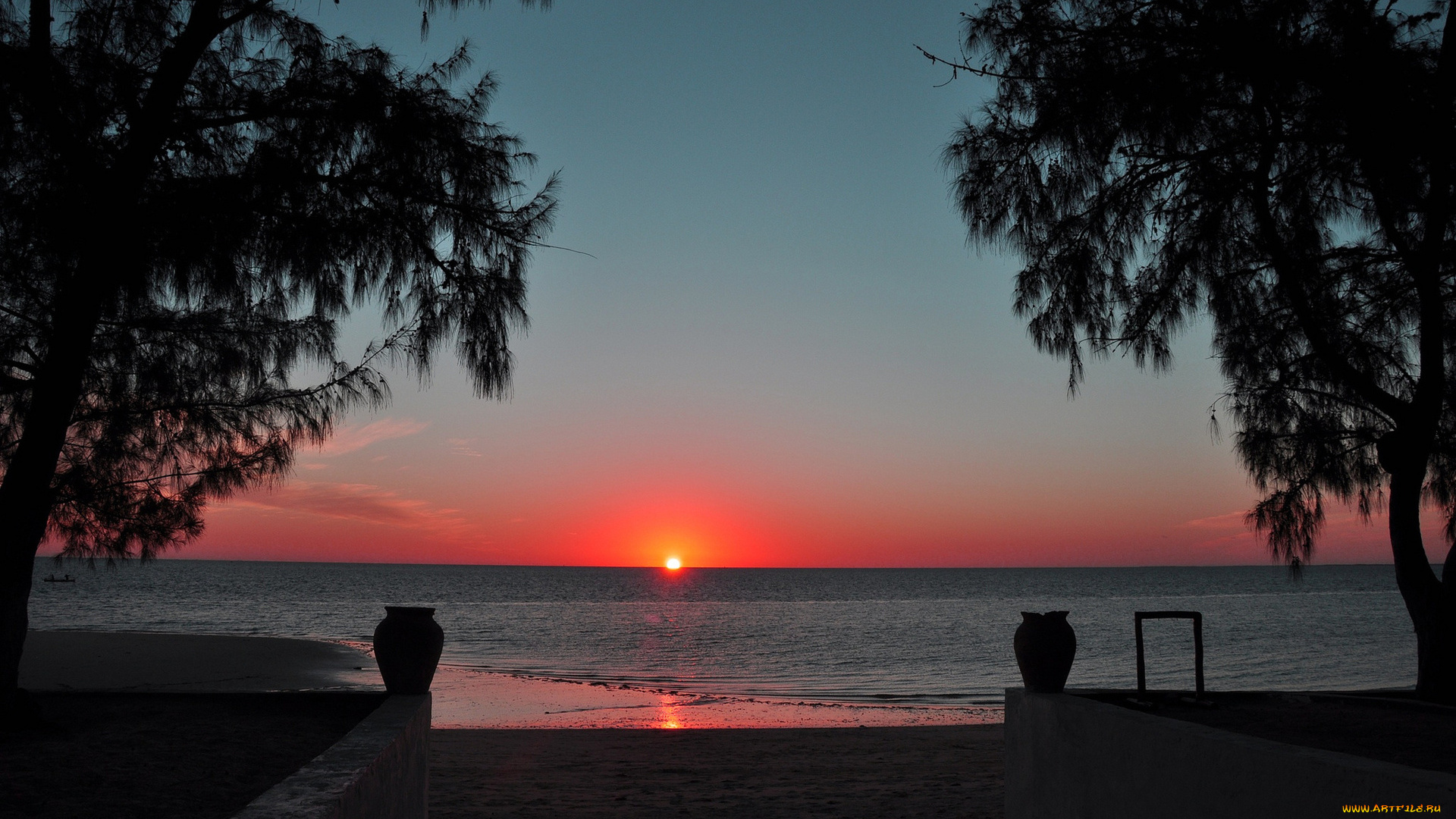 природа, восходы, закаты, закат, море, берег, вазы, деревья