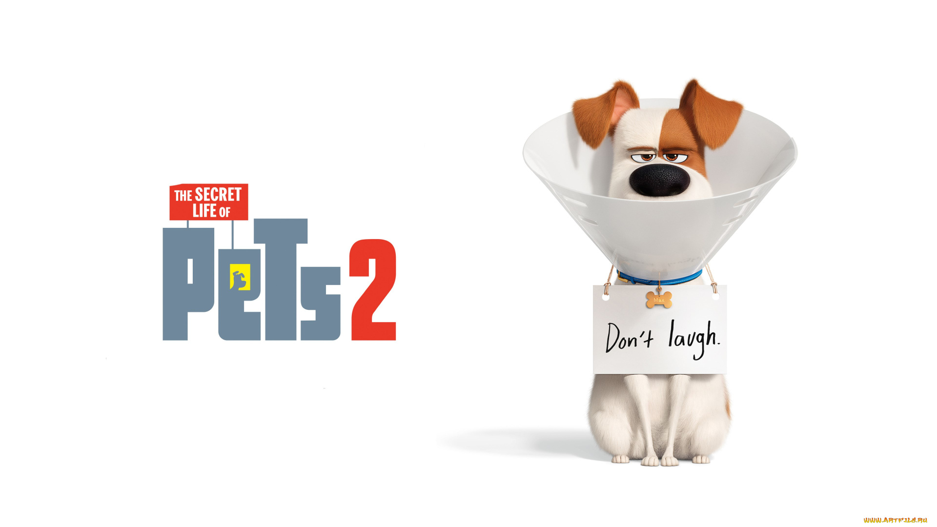 the, secret, life, of, pets, 2, , 2019, мультфильмы, the, secret, life, of, pets, 2, мультфильм, постер, max, patton, oswalt, озвучка, тайная, жизнь, домашних, животных, вторая, часть