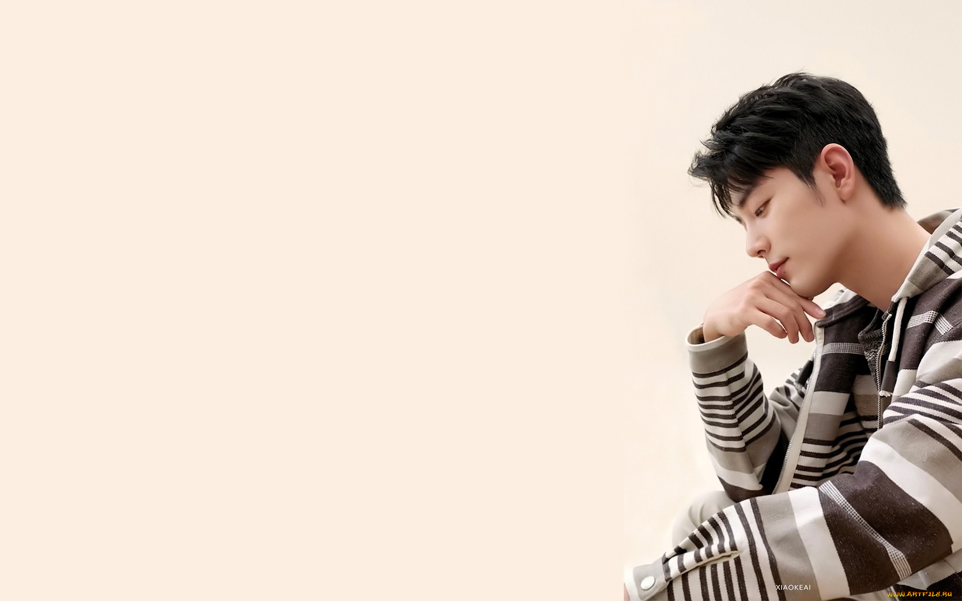 мужчины, xiao, zhan, актер, куртка