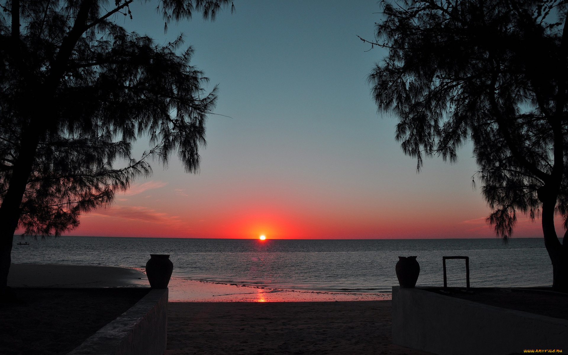 природа, восходы, закаты, закат, море, берег, вазы, деревья