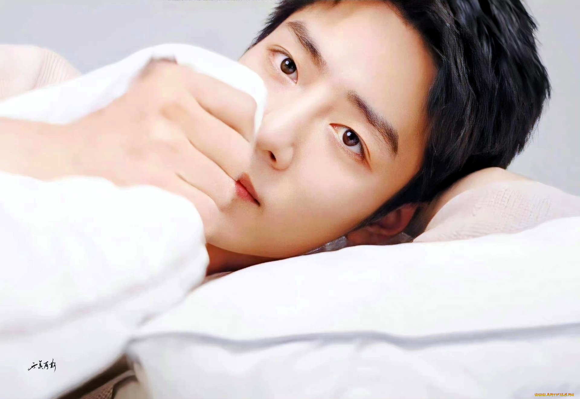 мужчины, xiao, zhan, актер, лицо, постель