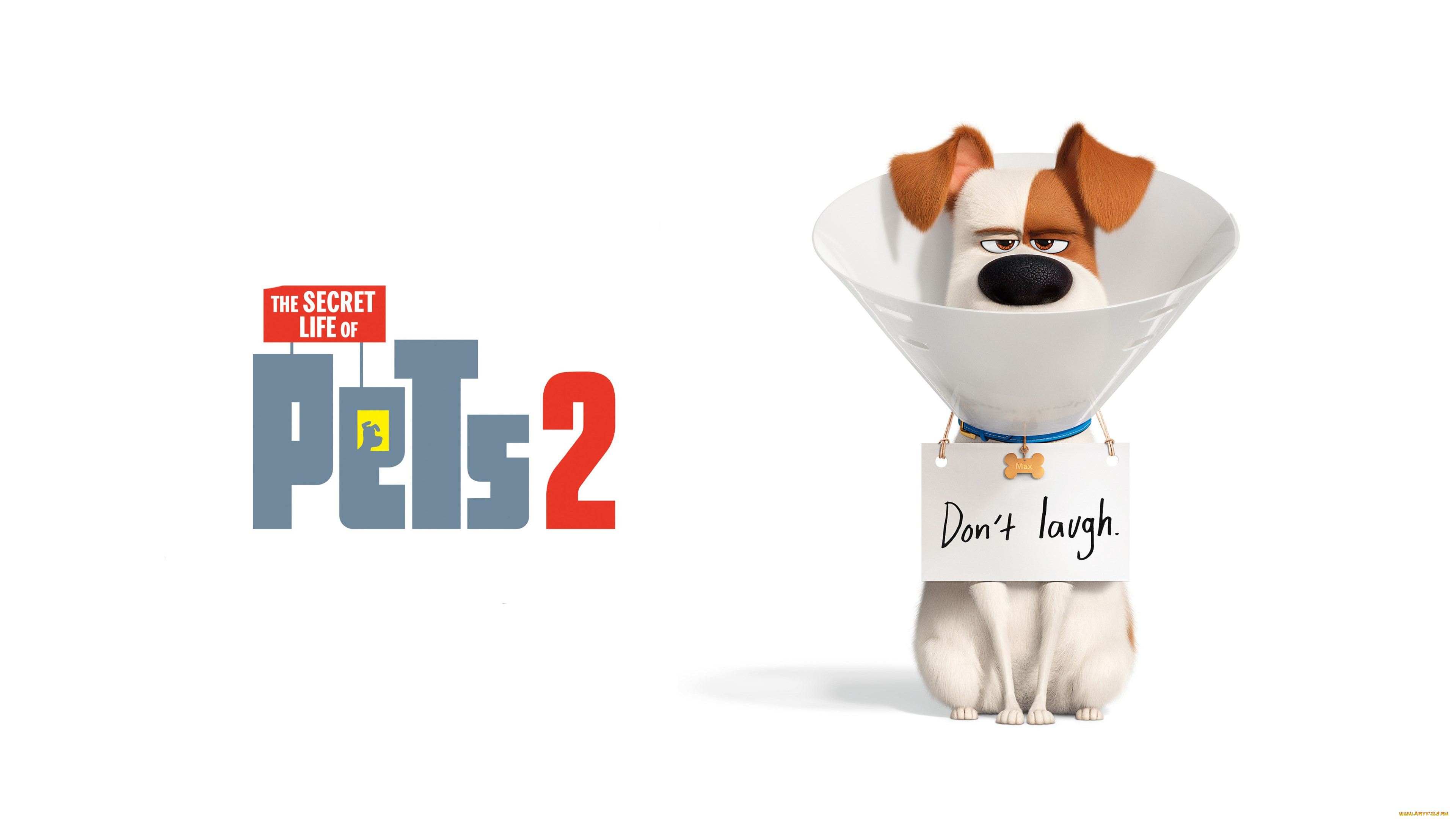 the, secret, life, of, pets, 2, , 2019, мультфильмы, the, secret, life, of, pets, 2, мультфильм, постер, max, patton, oswalt, озвучка, тайная, жизнь, домашних, животных, вторая, часть