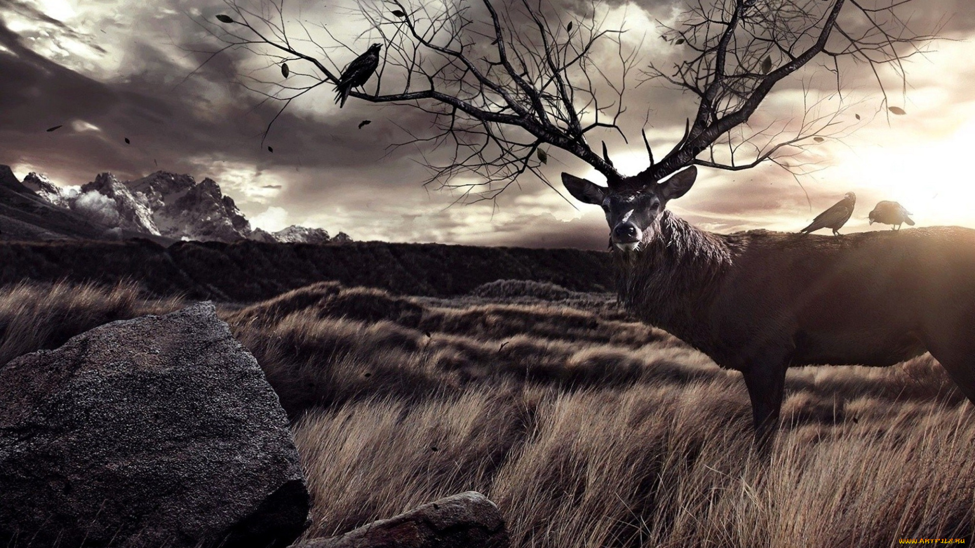 разное, компьютерный, дизайн, олень, рога, дерево, ветки, птицы, тучи, горы, трава, камни