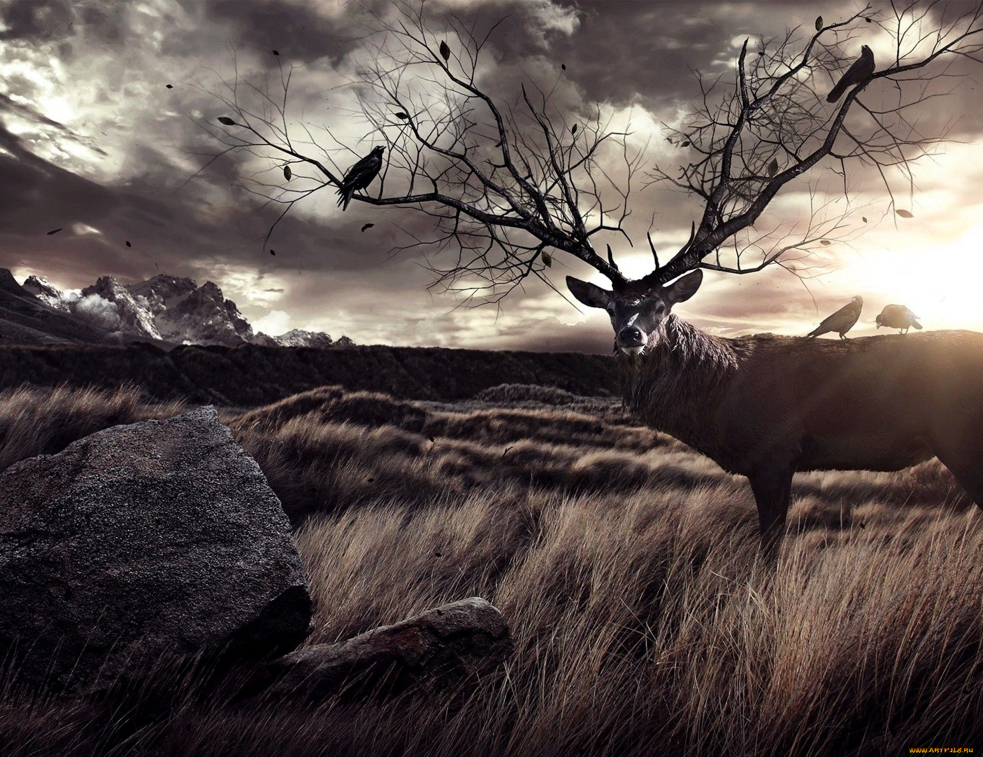 разное, компьютерный, дизайн, олень, рога, дерево, ветки, птицы, тучи, горы, трава, камни