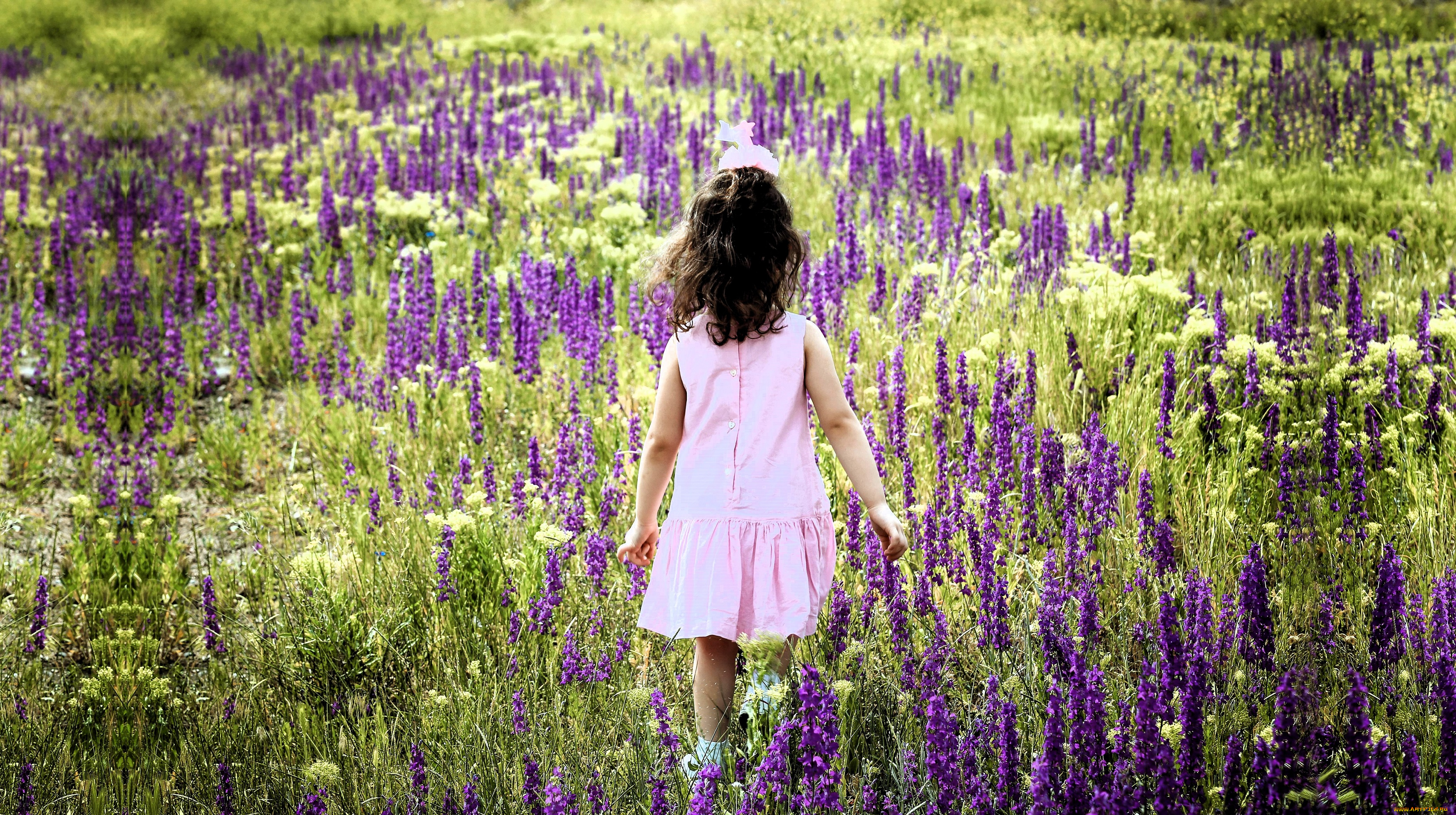 разное, дети, девочка, ребенок, луг, цветы, трава