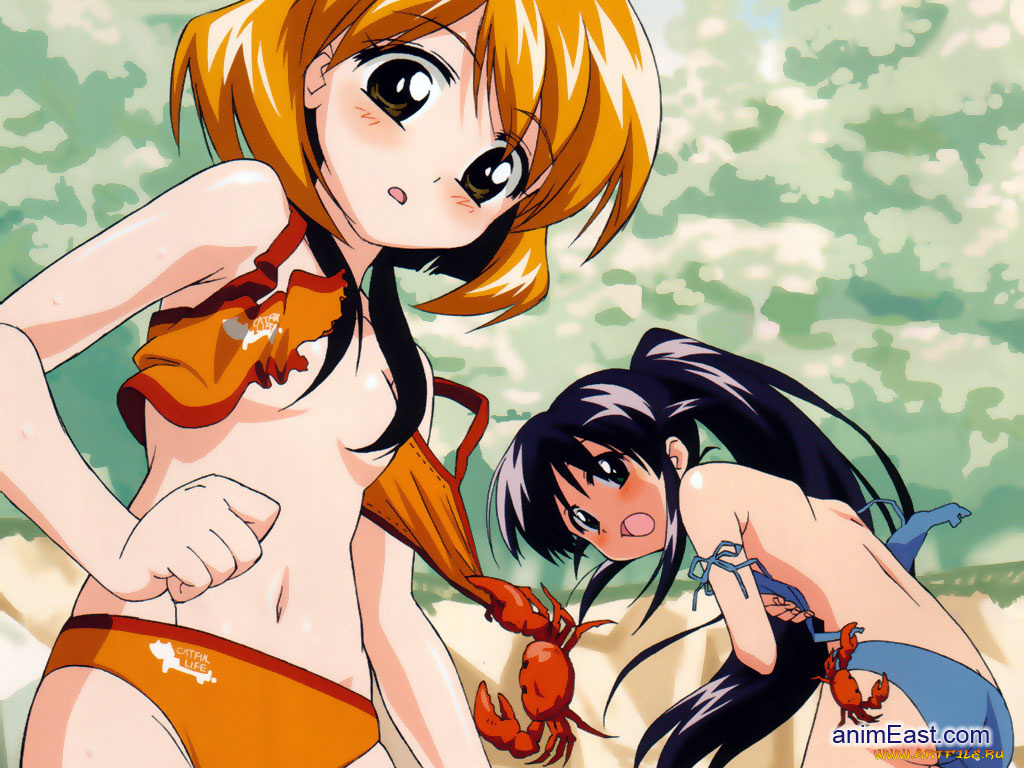 аниме, mahoromatic