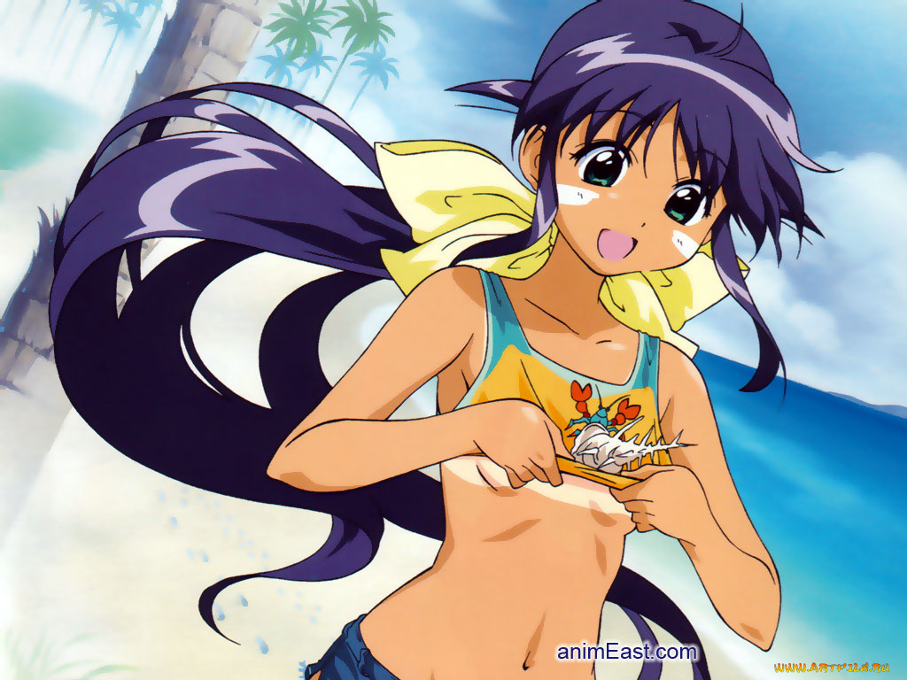 аниме, mahoromatic