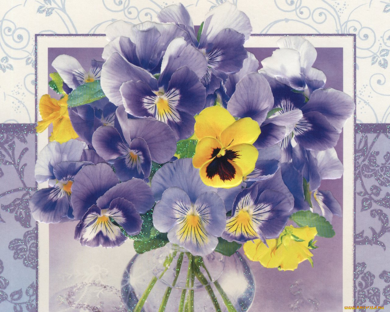 цветы, анютины, глазки, садовые, фиалки