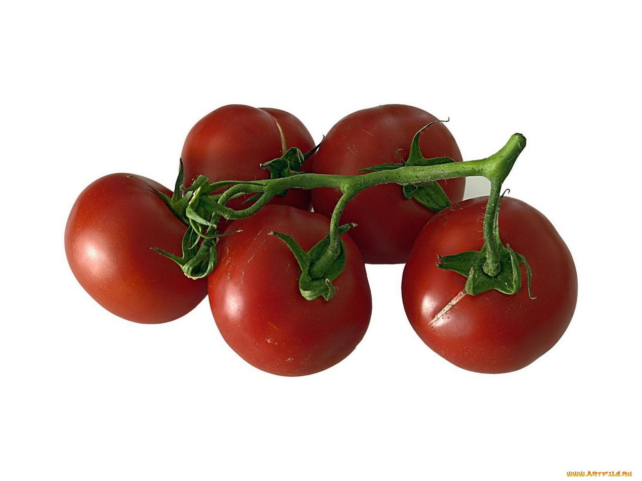 еда, помидоры, томаты