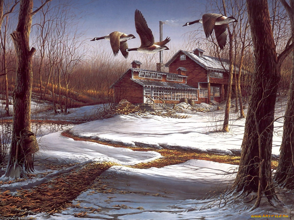 рисованные, terry, redlin