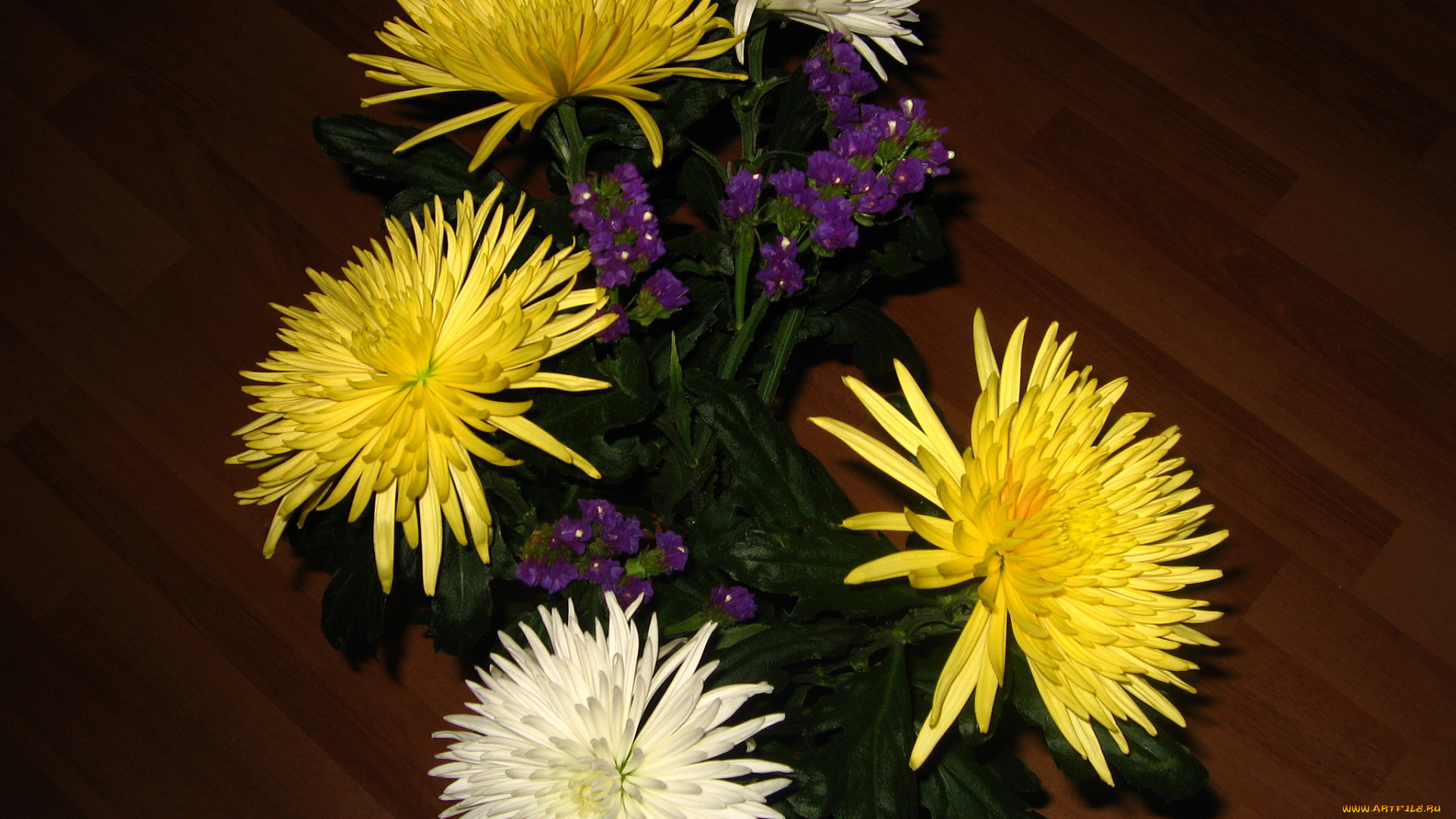 цветы, букеты, композиции