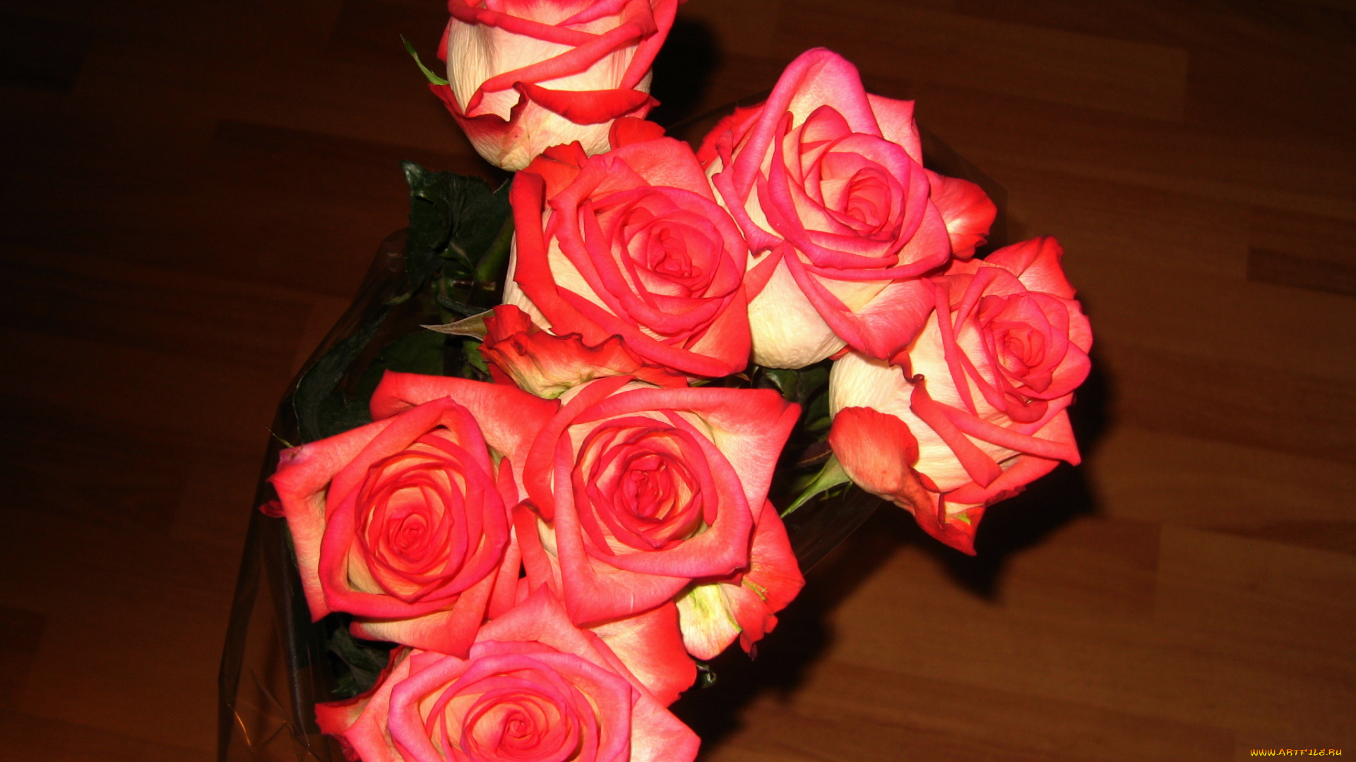 цветы, розы