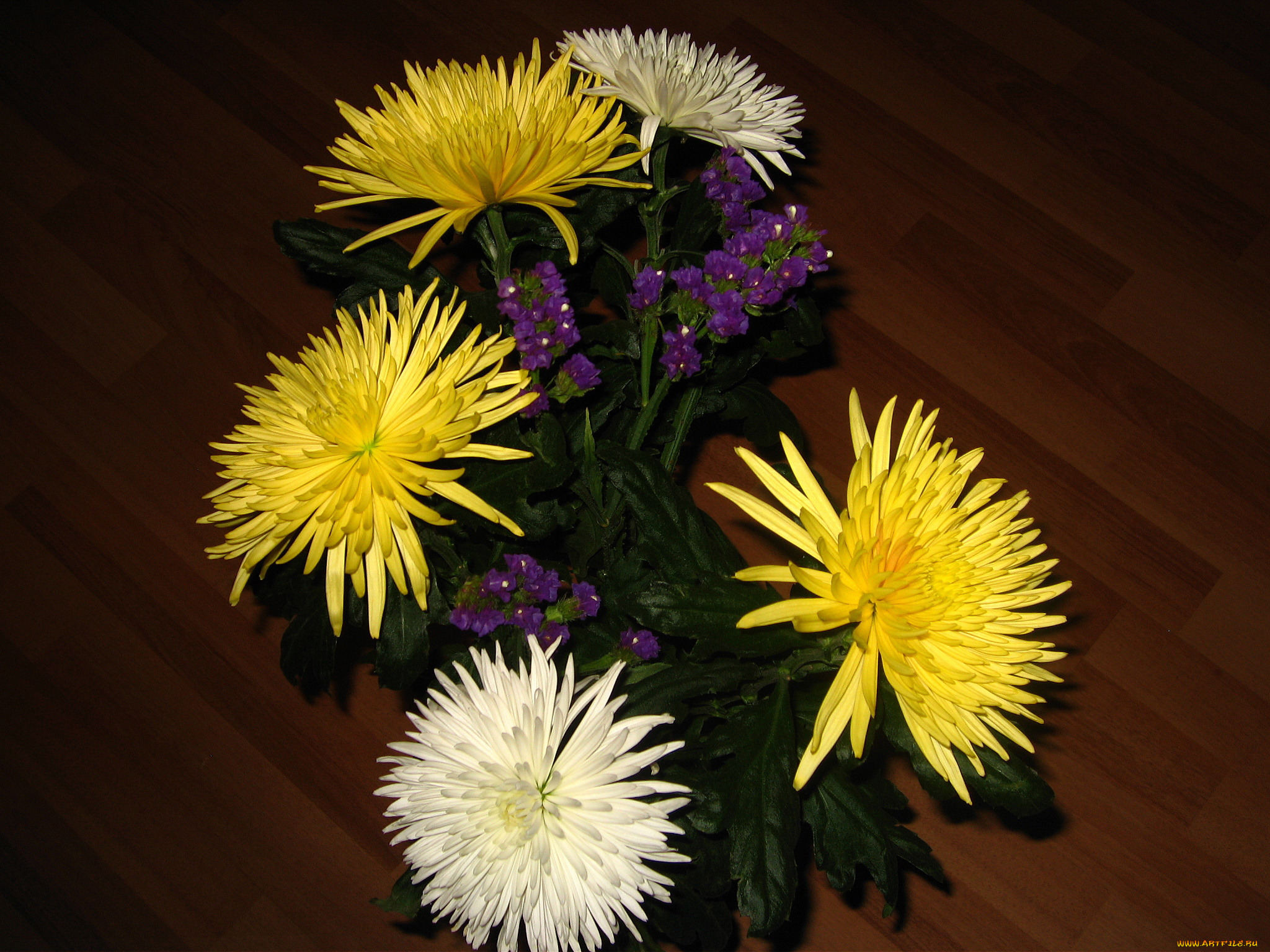 цветы, букеты, композиции