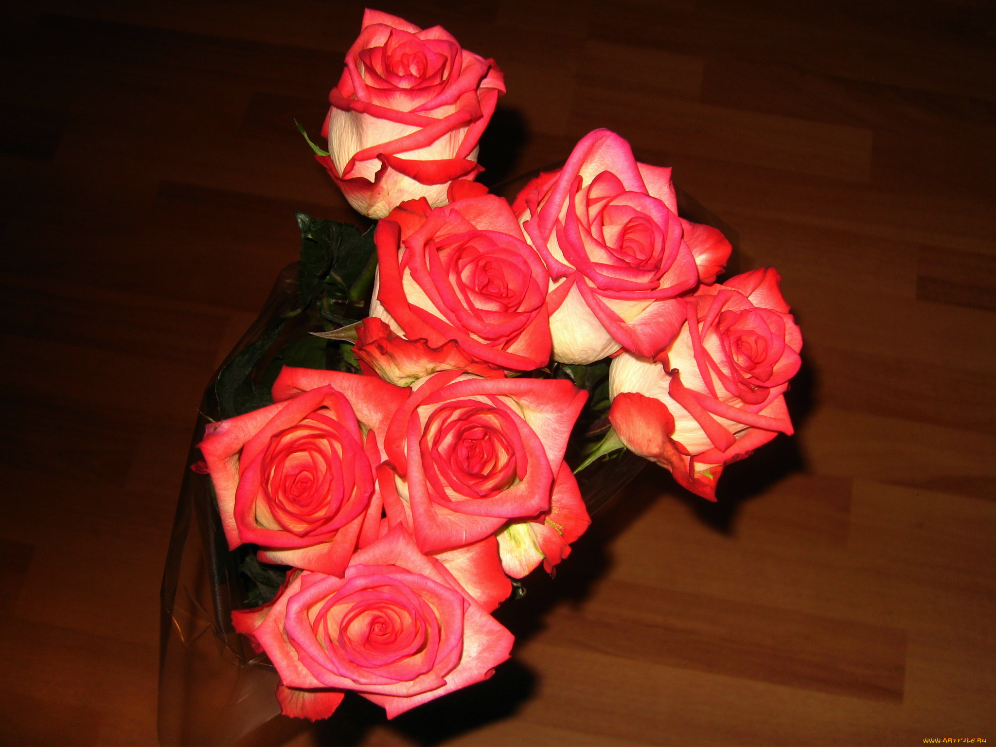 цветы, розы