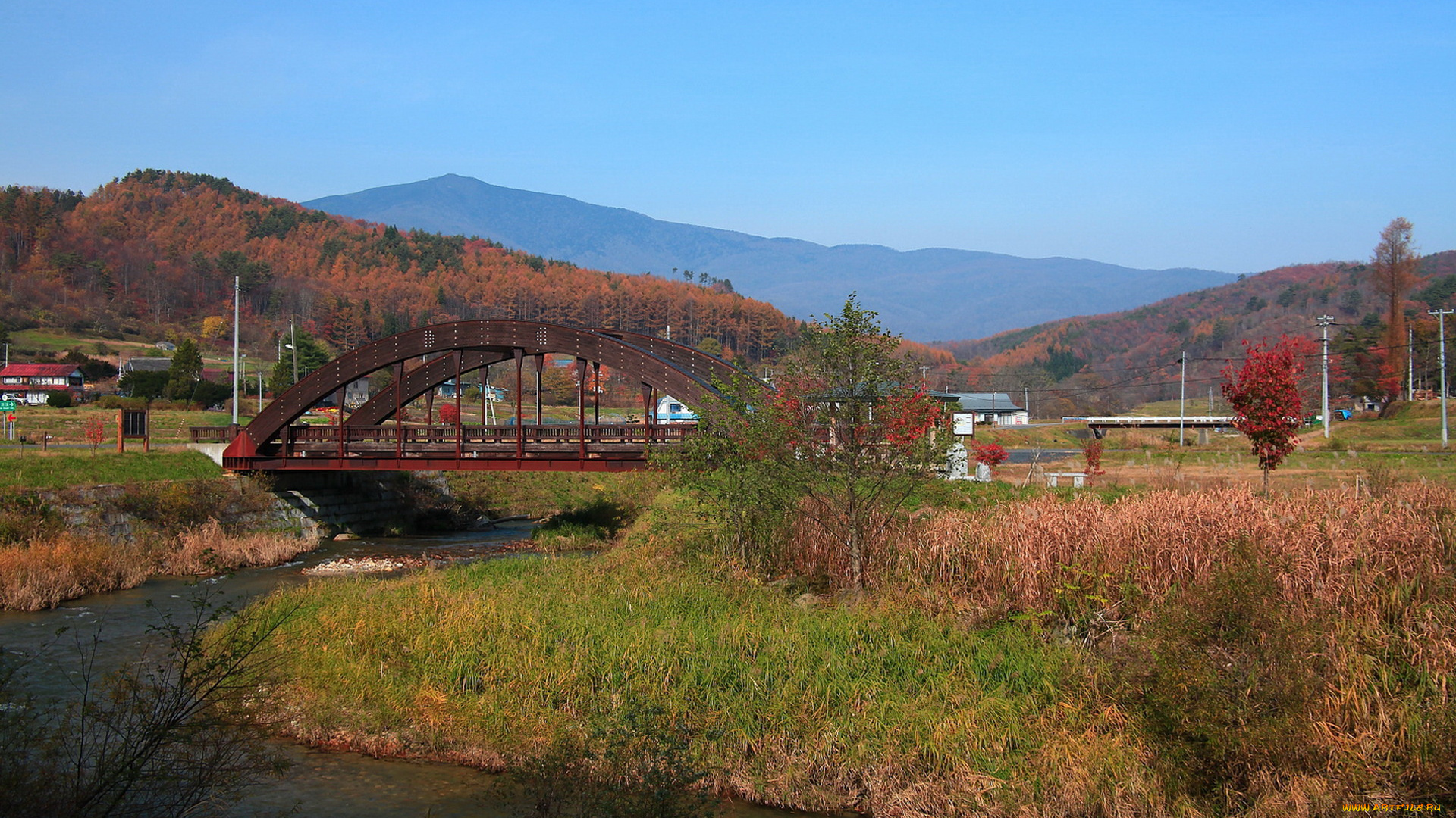 города, мосты, река, дома