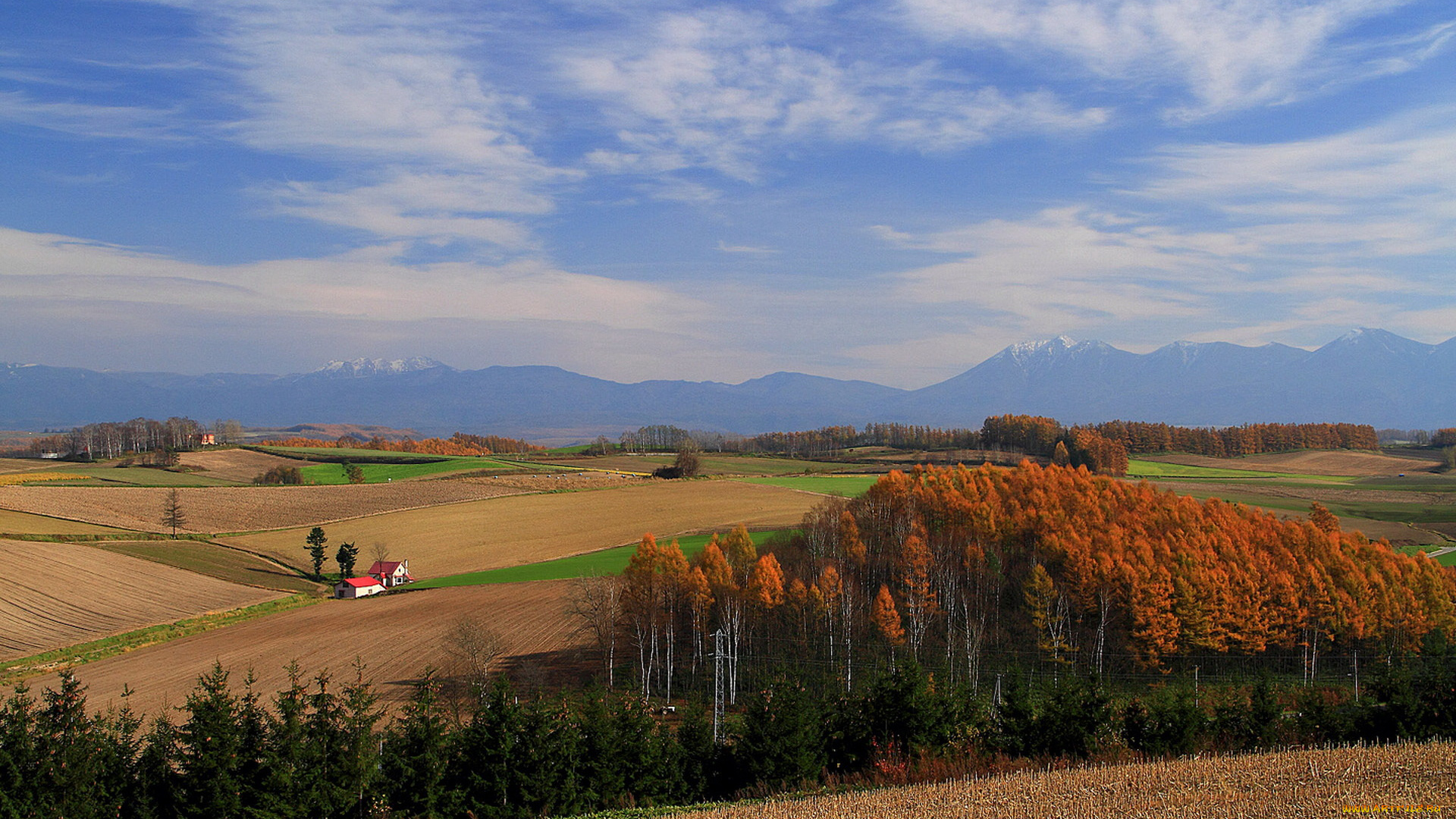 природа, поля, деревья, дом