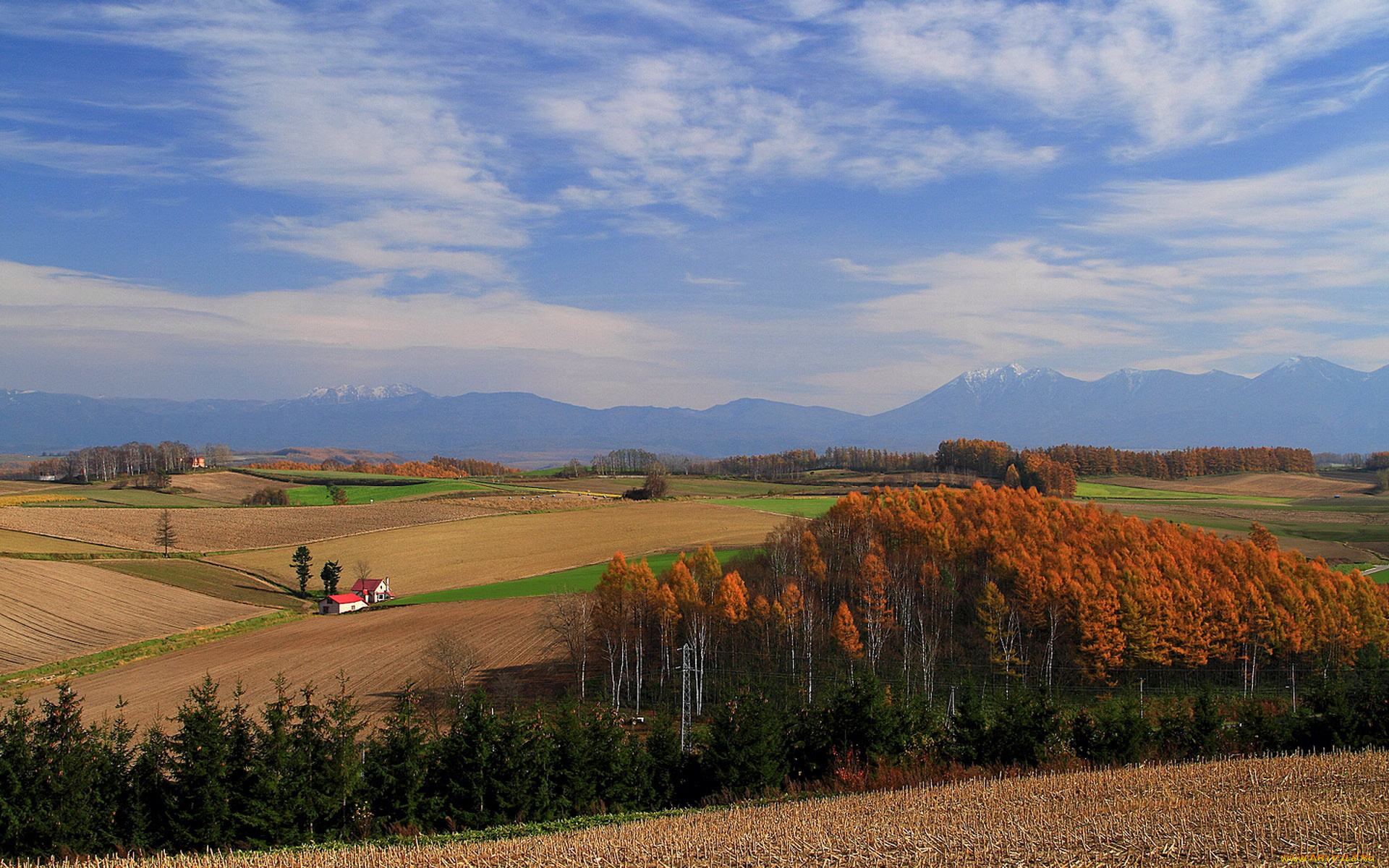 природа, поля, деревья, дом