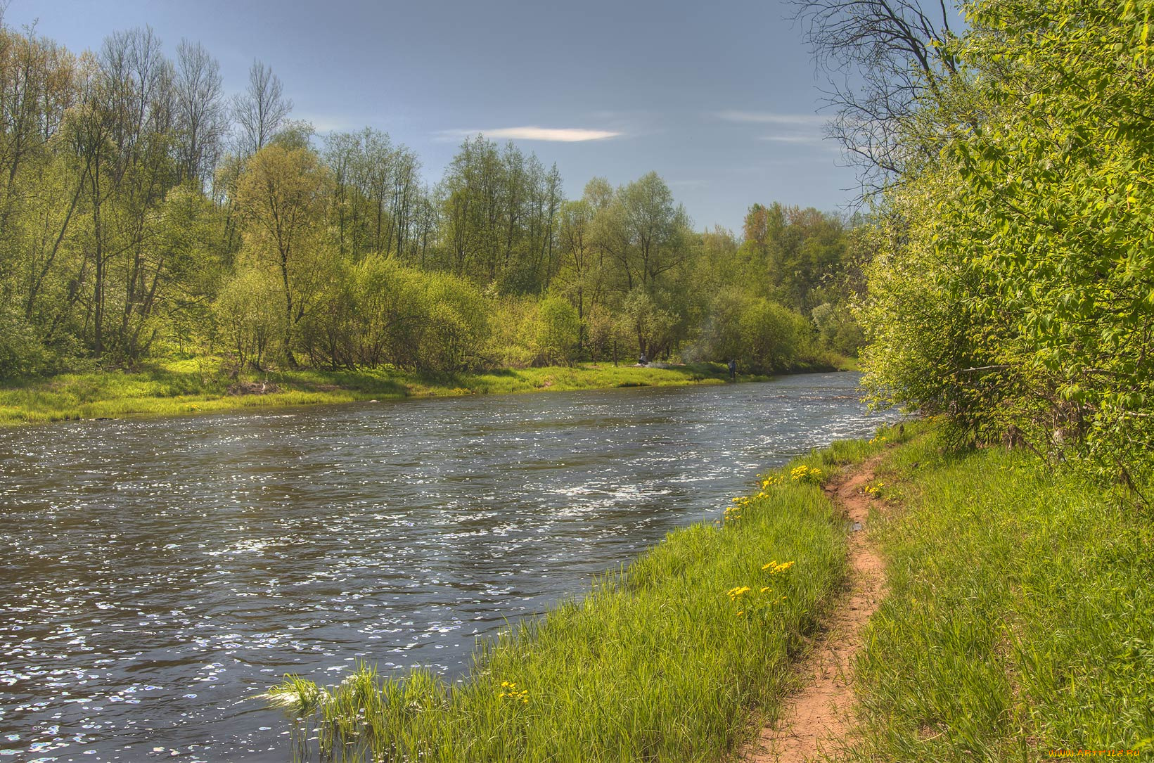 природа, реки, озера, лес, река