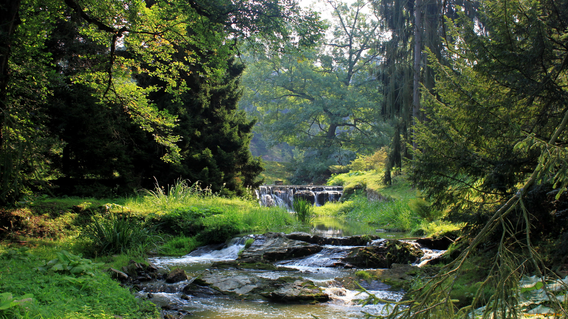 Чехия, pruhonice, природа, реки, озера, лес, река, водопад