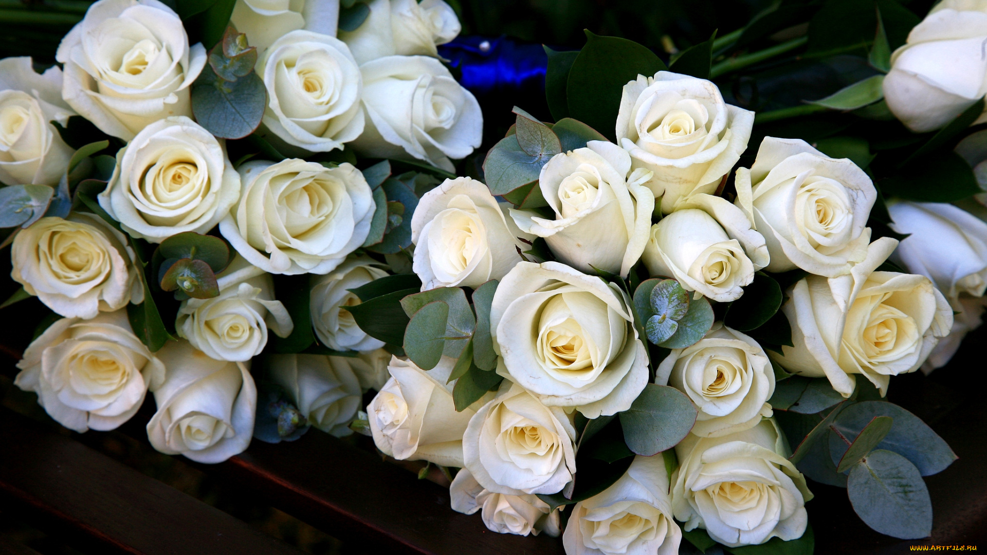 цветы, розы, белый, букеты