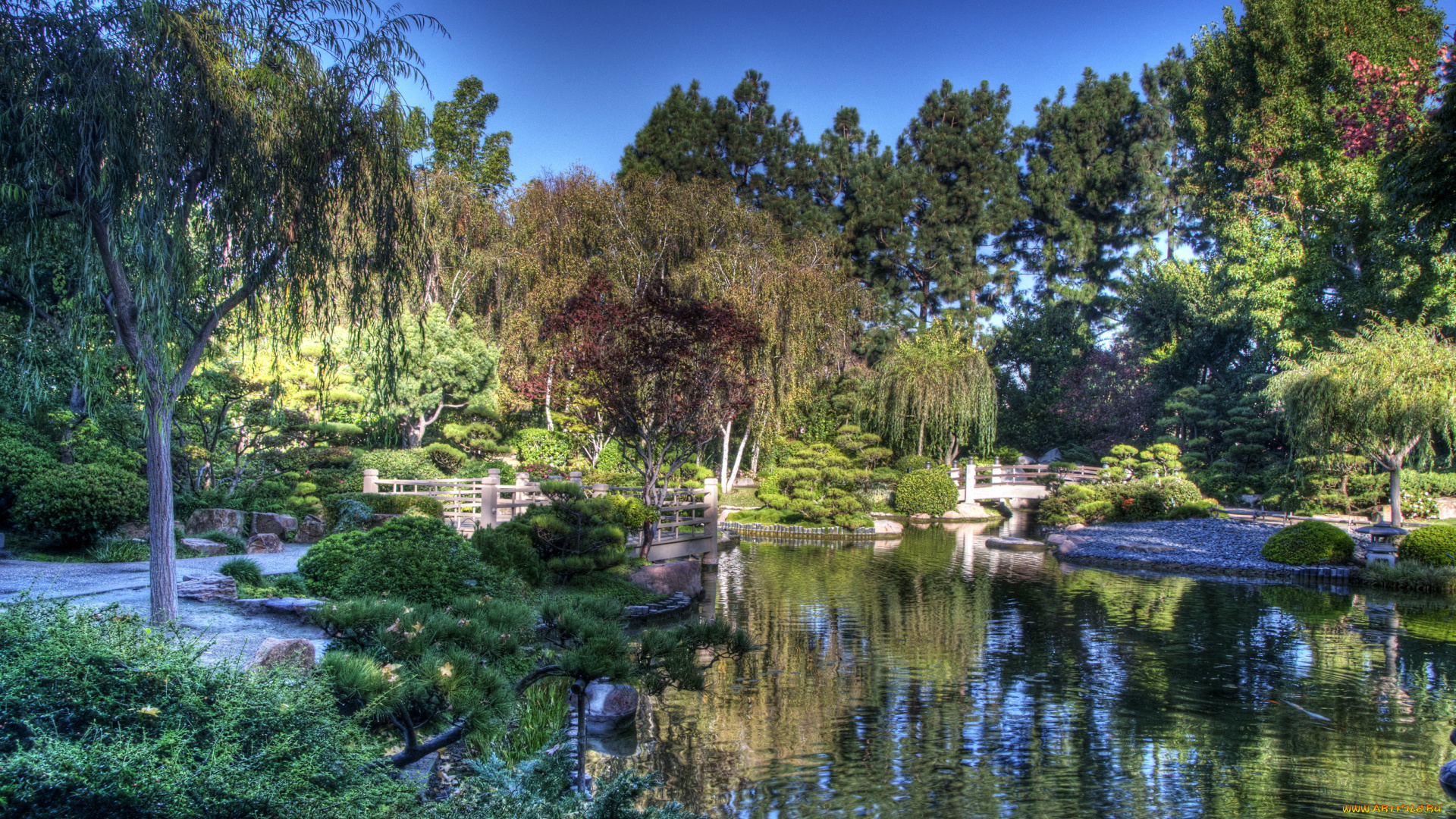 earl, burns, miller, japanese, garden, california, usa, природа, парк, сад