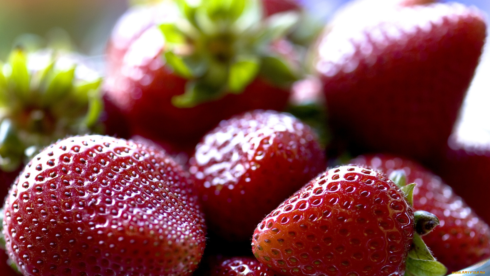 еда, клубника, земляника, ягоды, красный, макро