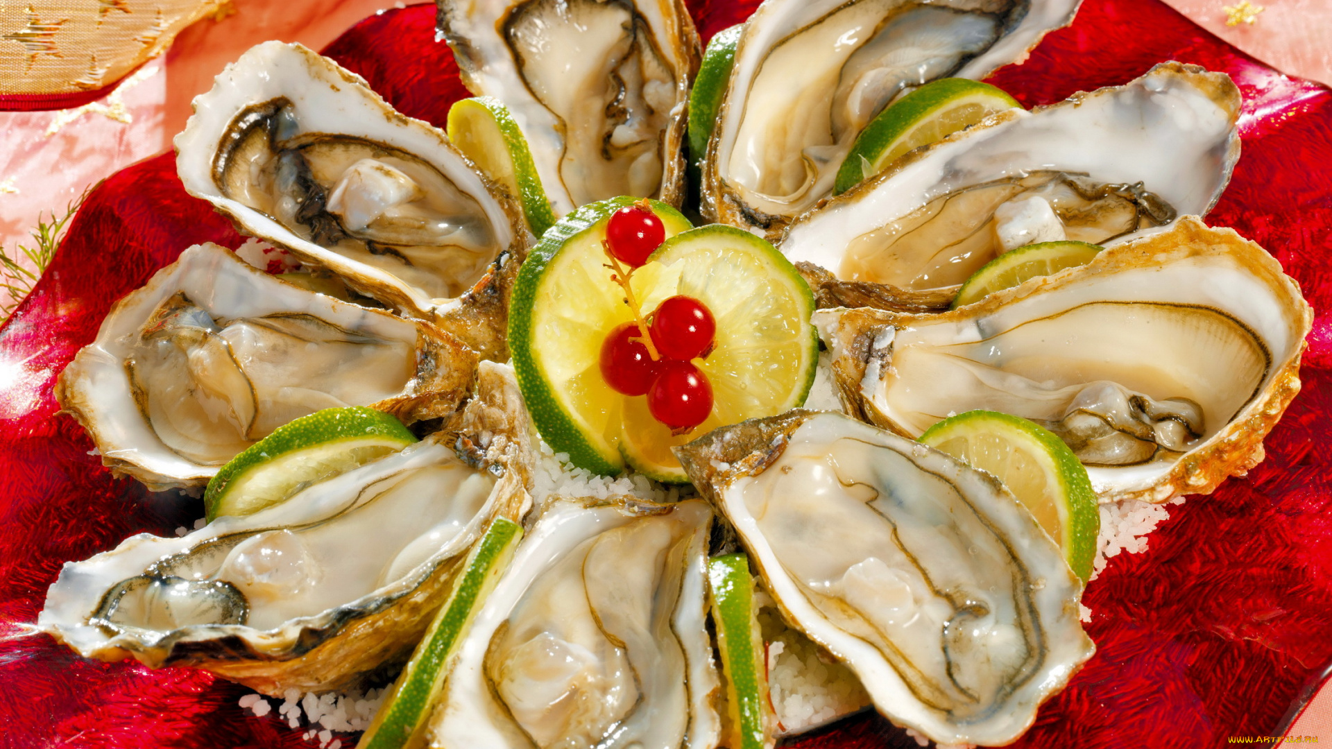 еда, рыба, морепродукты, суши, роллы, устрицы