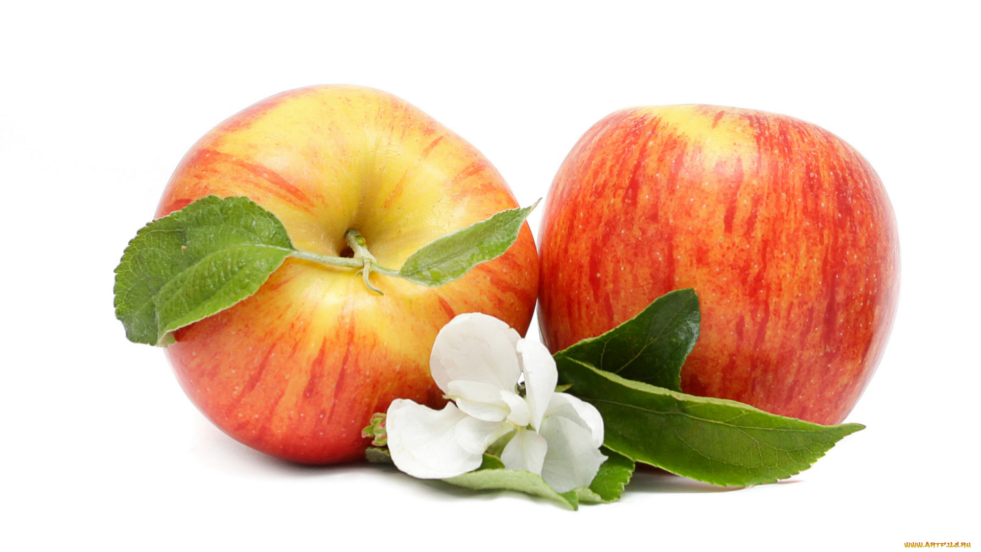 еда, Яблоки, фрукты
