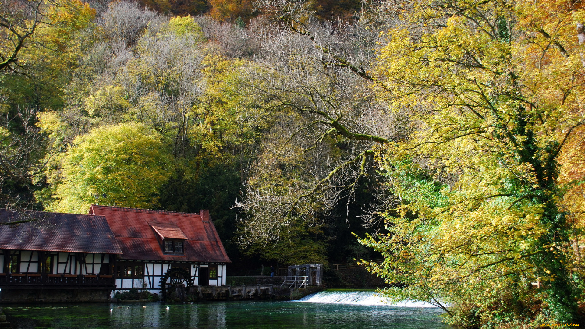 германия, блаубойрен, природа, пейзажи, река, лес, плотина