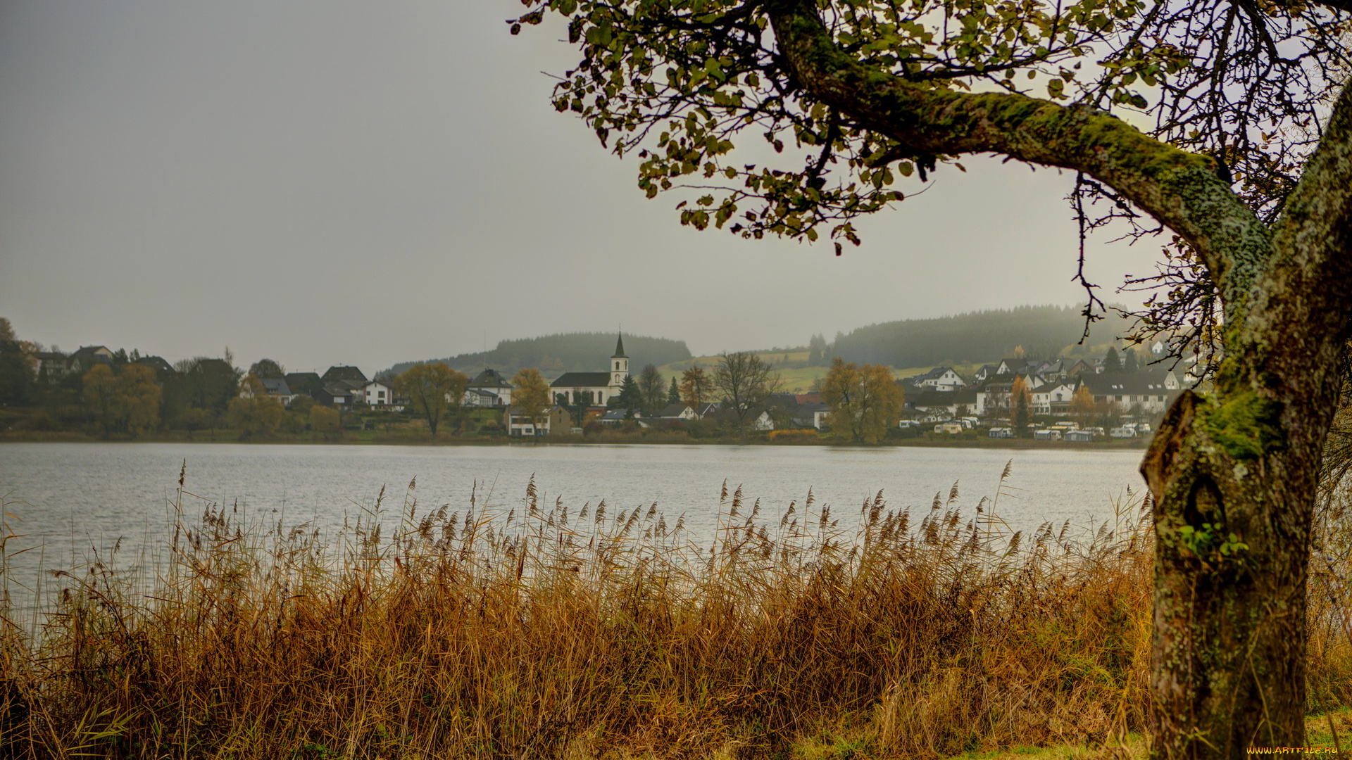 германия, даун, природа, реки, озера, осень, река