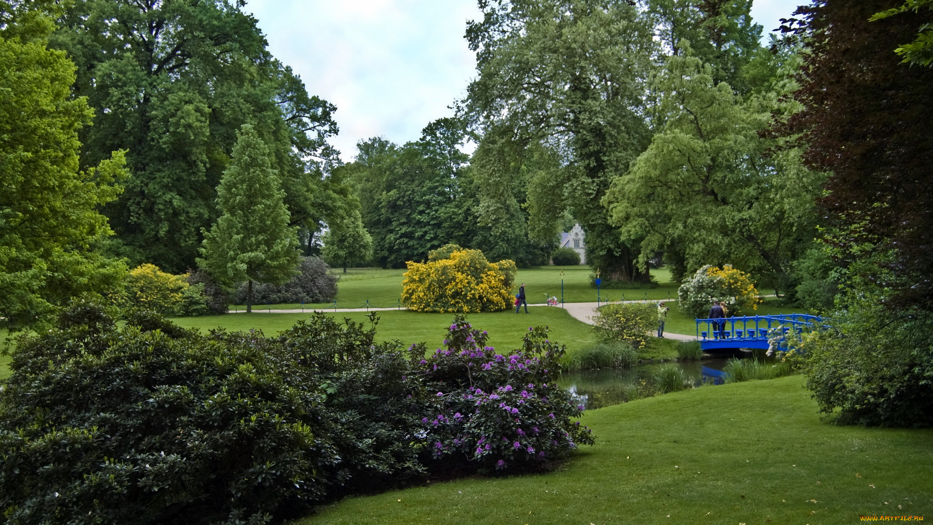 германия, саксония, бад, мускау, природа, парк