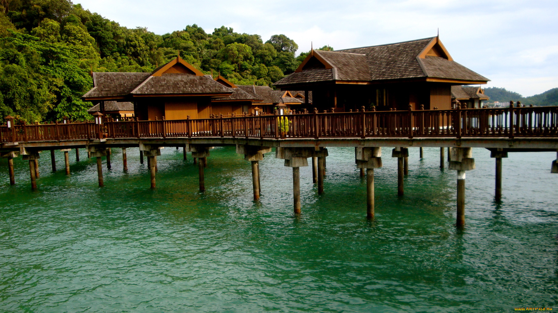 мальдивы, природа, тропики