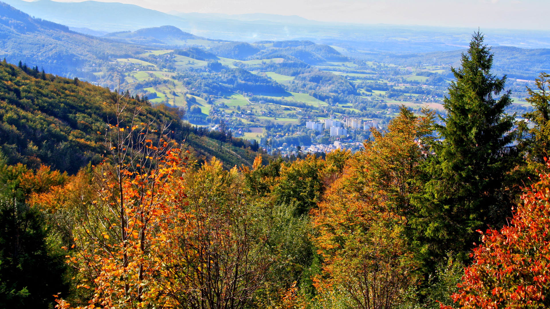 польша, устронь, природа, пейзажи, осень