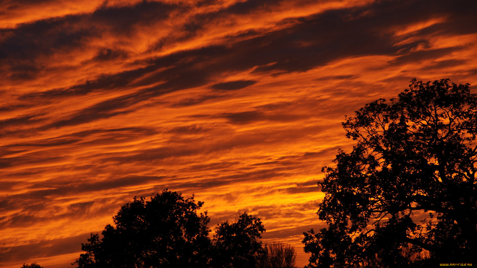 природа, облака, закат