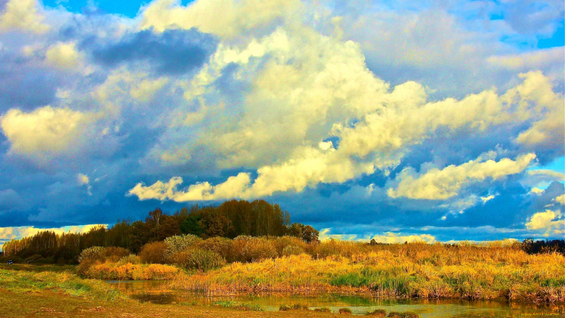 природа, пейзажи, лес, осень, деревья, небо, облака, михайловские, дали, река, сороть
