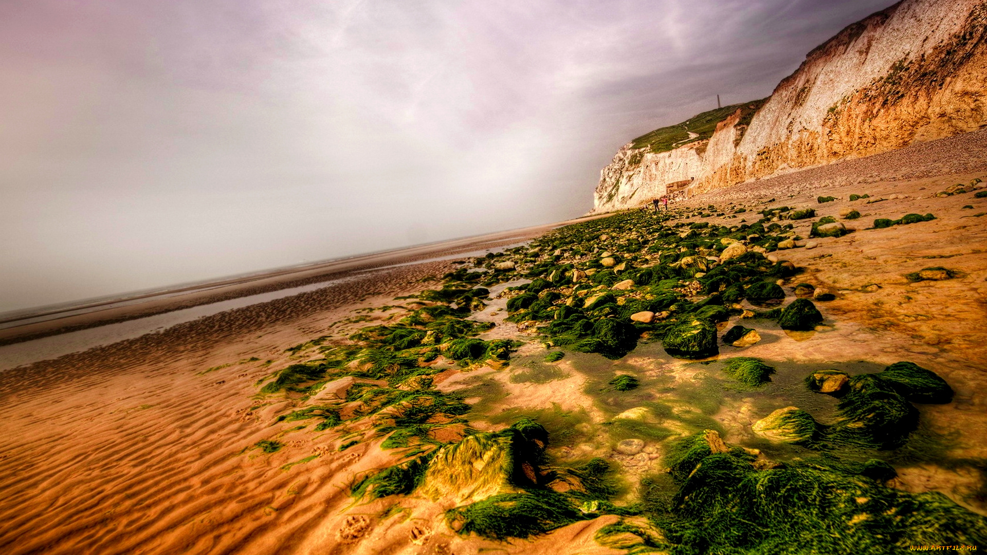 природа, побережье, тина, камни, песок, пляж, океан