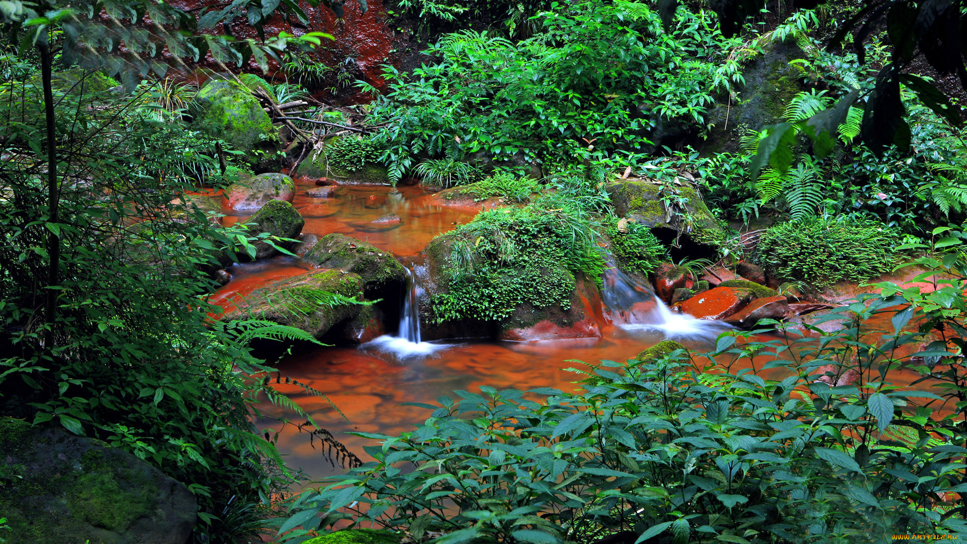 природа, реки, озера, камни, зелень, ручей