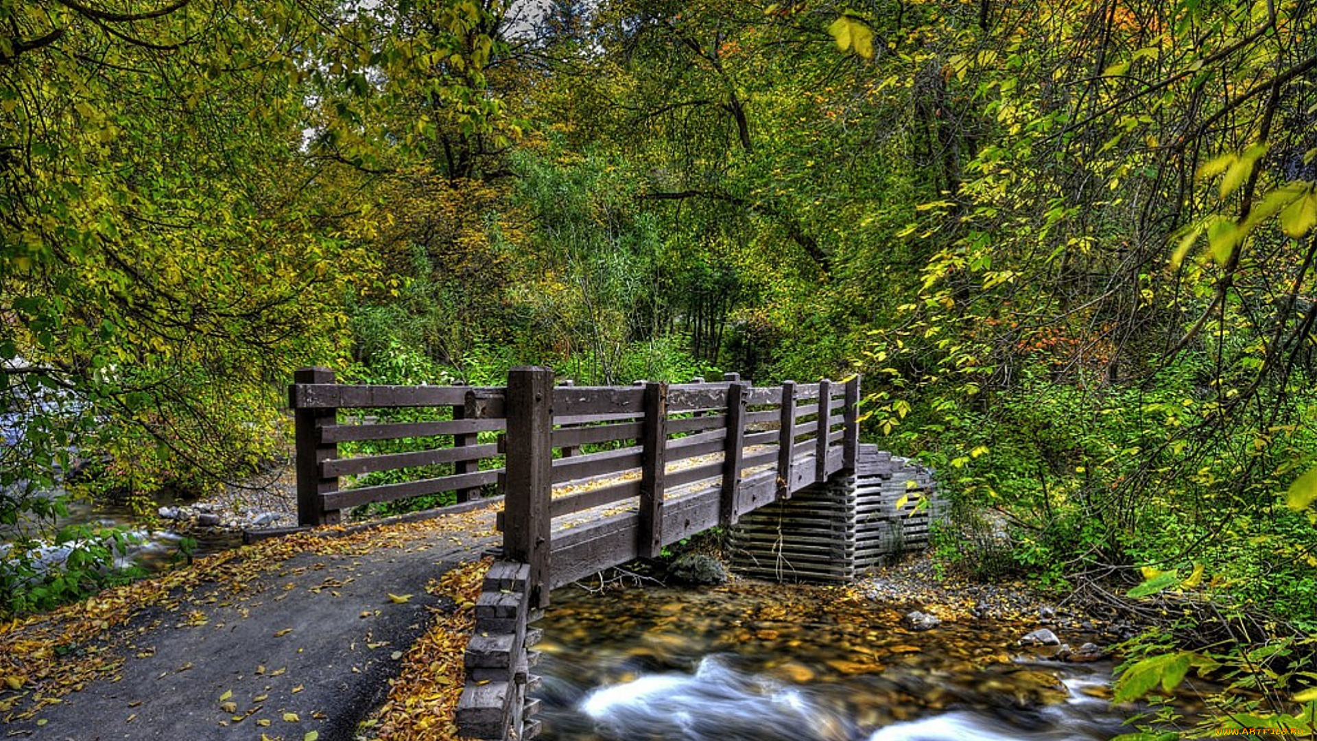 природа, реки, озера, лес, деревья, река, осень