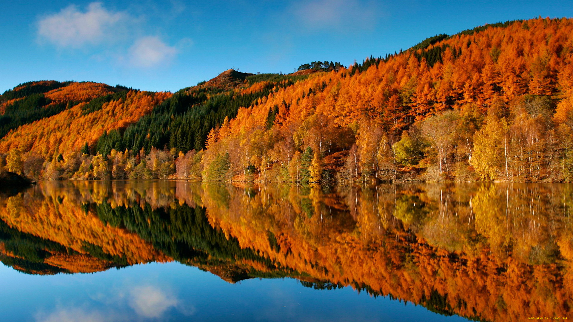 природа, реки, озера, лес, осень, река