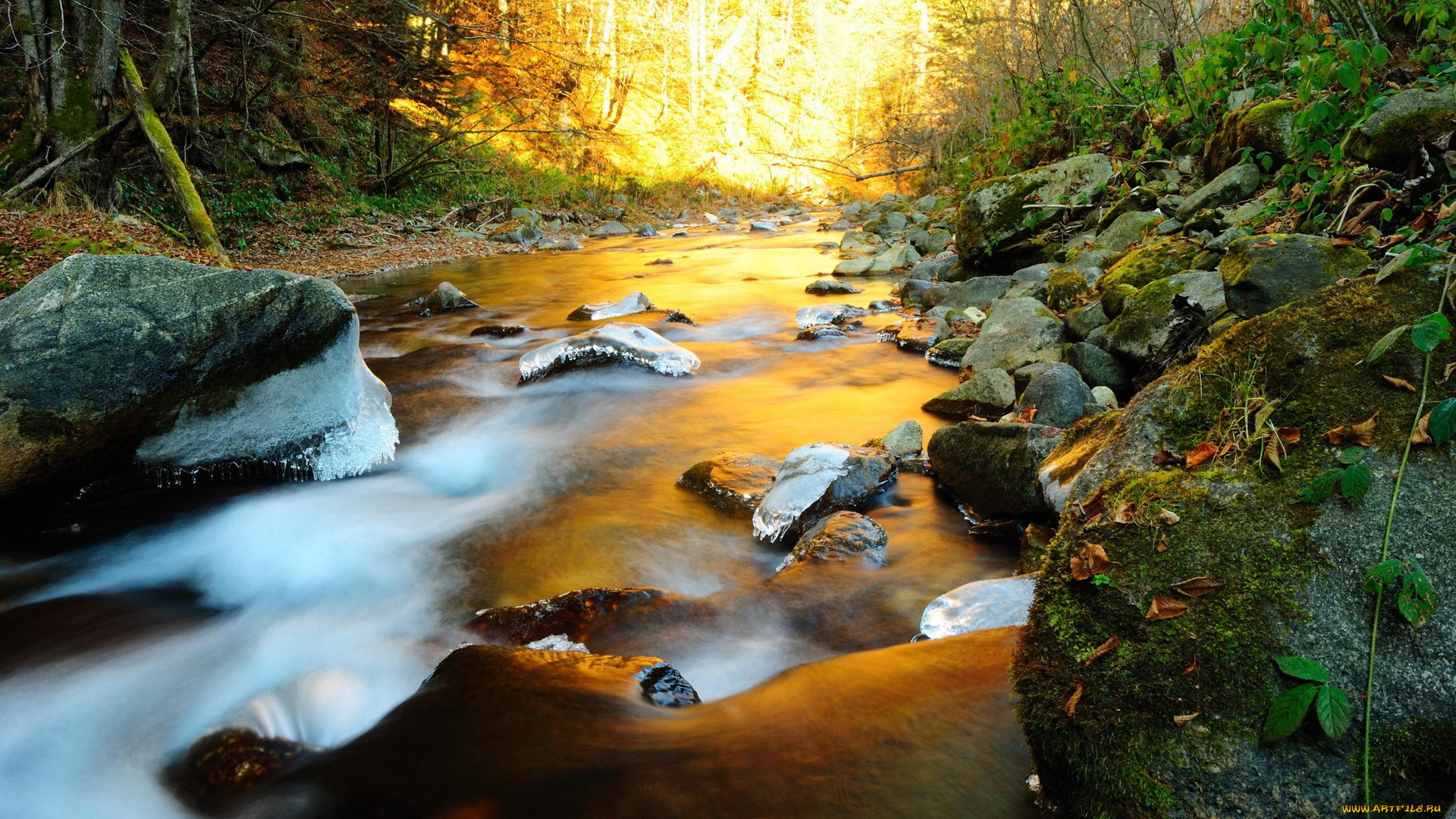 природа, реки, озера, лучи, река, лес, камни