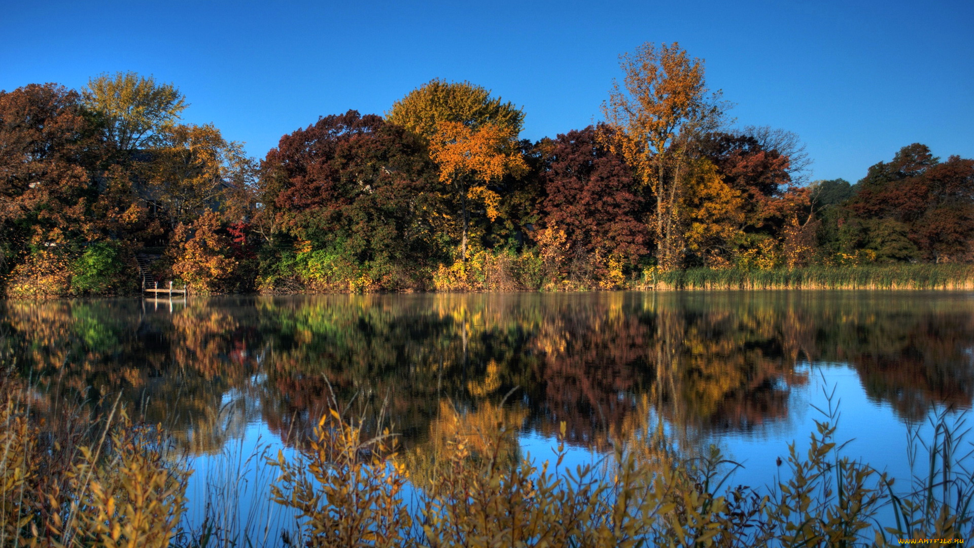 природа, реки, озера, осень, лес, река