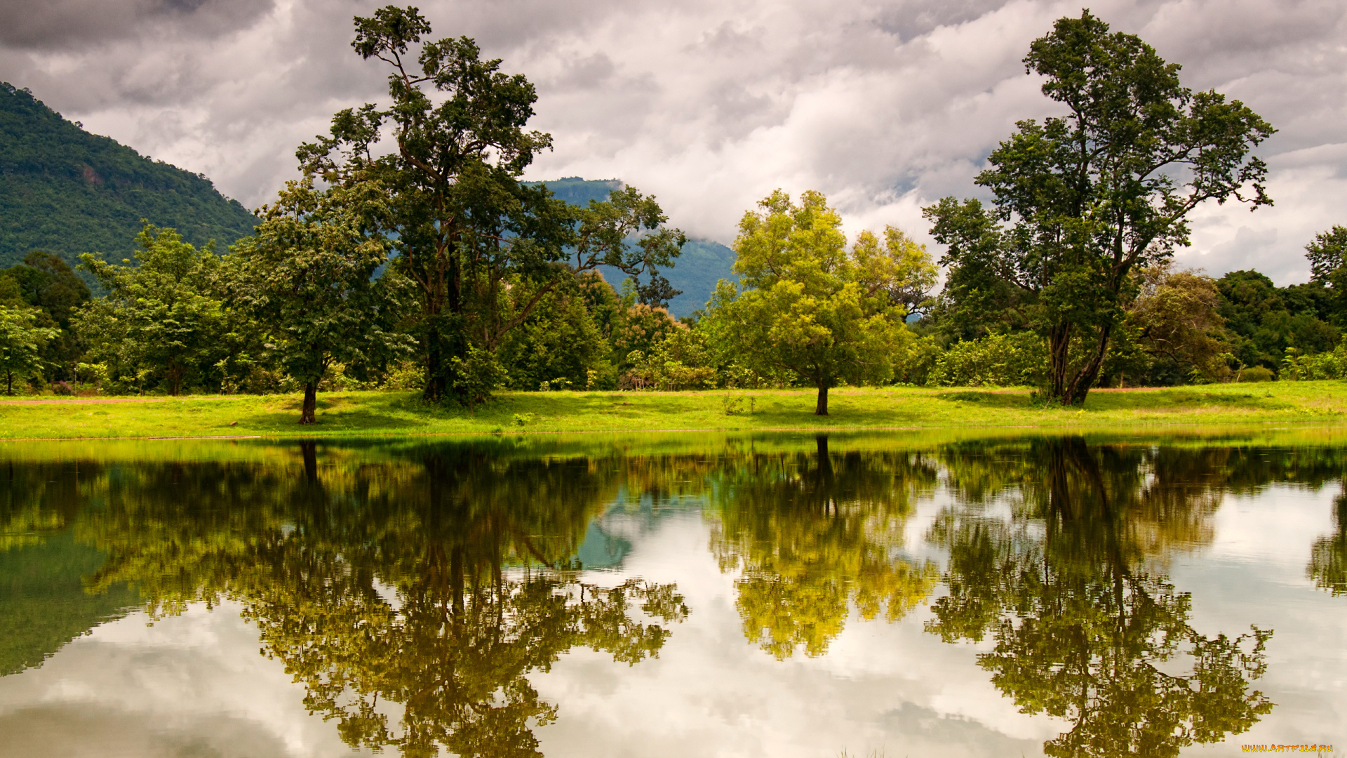 природа, реки, озера, река, деревья, отражение